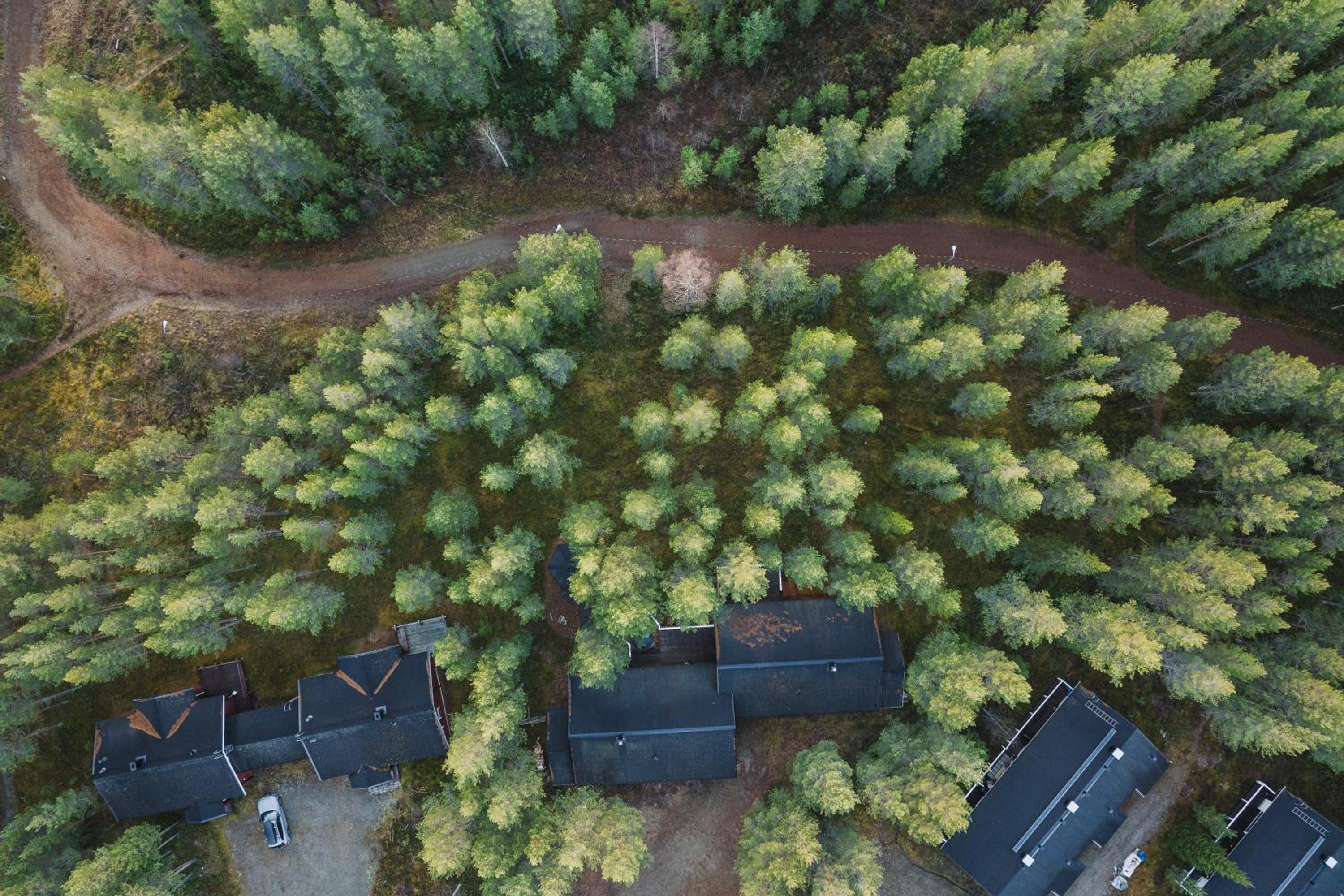 Luxurious Villa Levin Lepola - Also own private Lapland hut