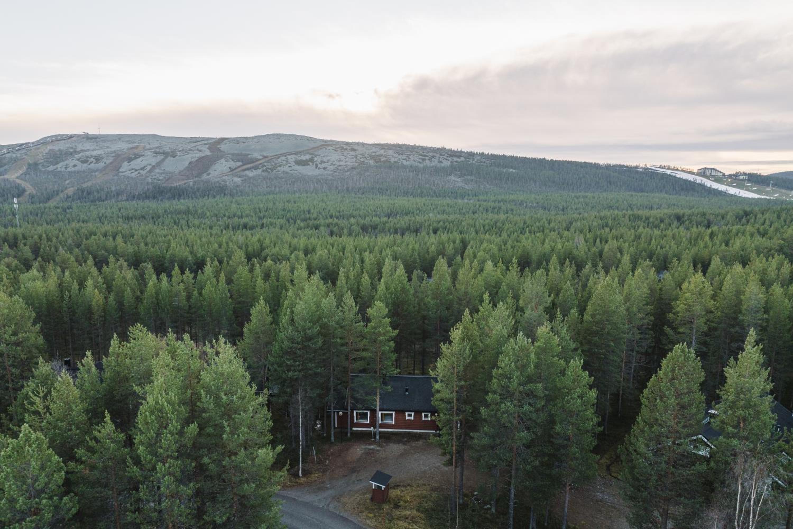 Luxurious Villa Levin Lepola - Also own private Lapland hut