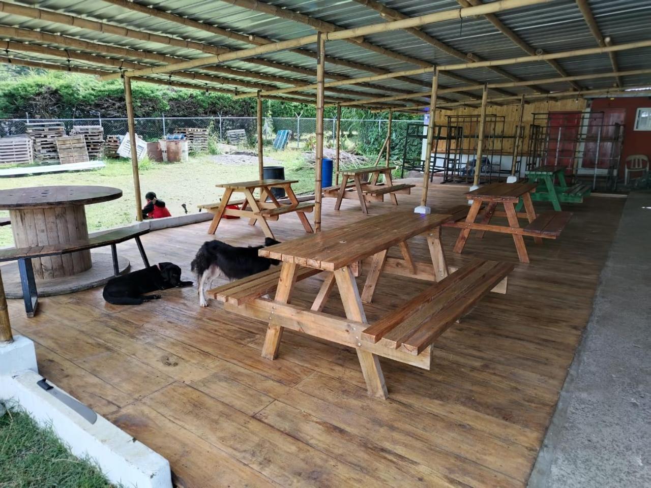 Photo 14