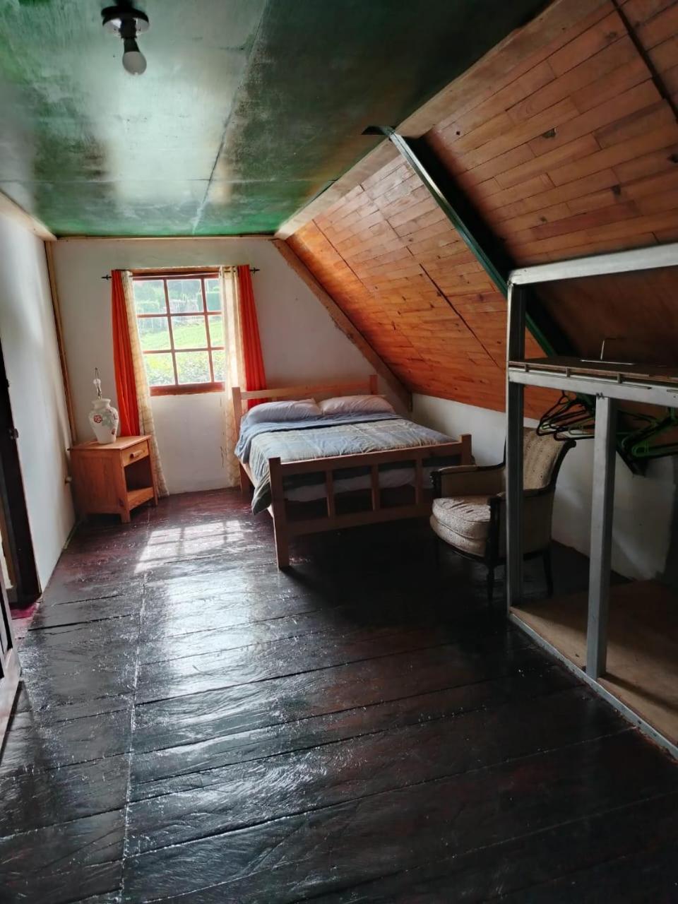 Photo 22