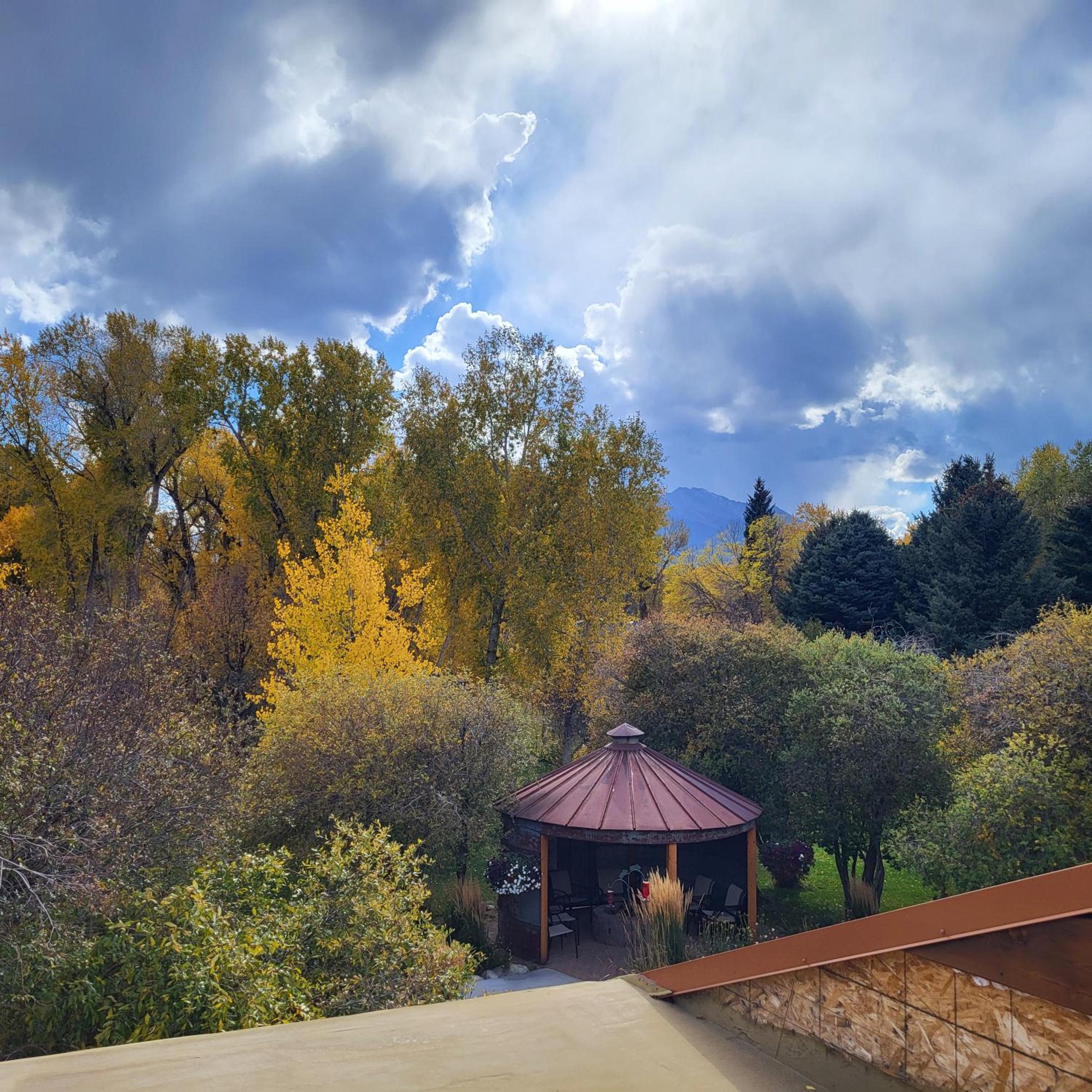 Photo 41
