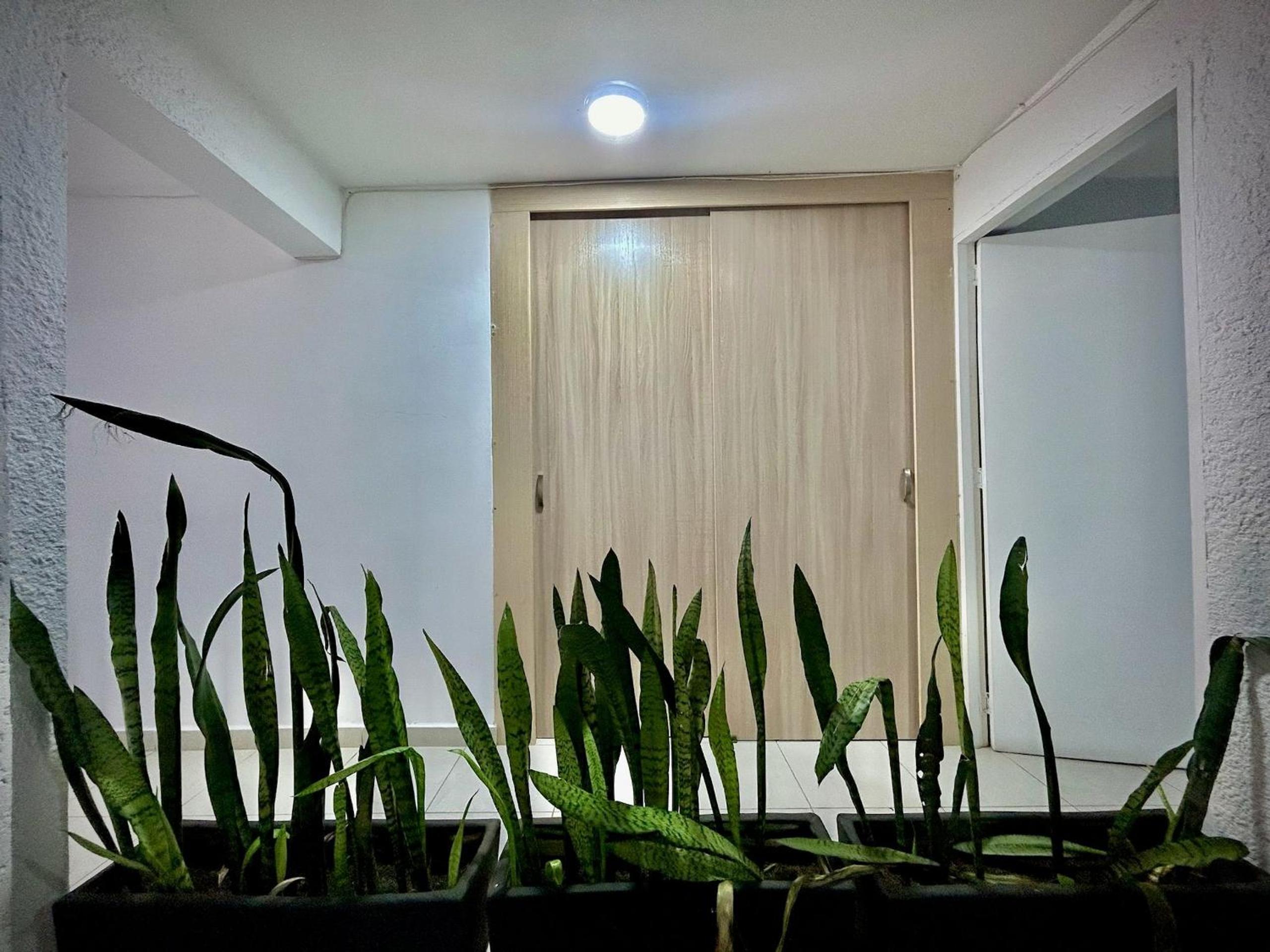 Laureles Apartments and Lofts