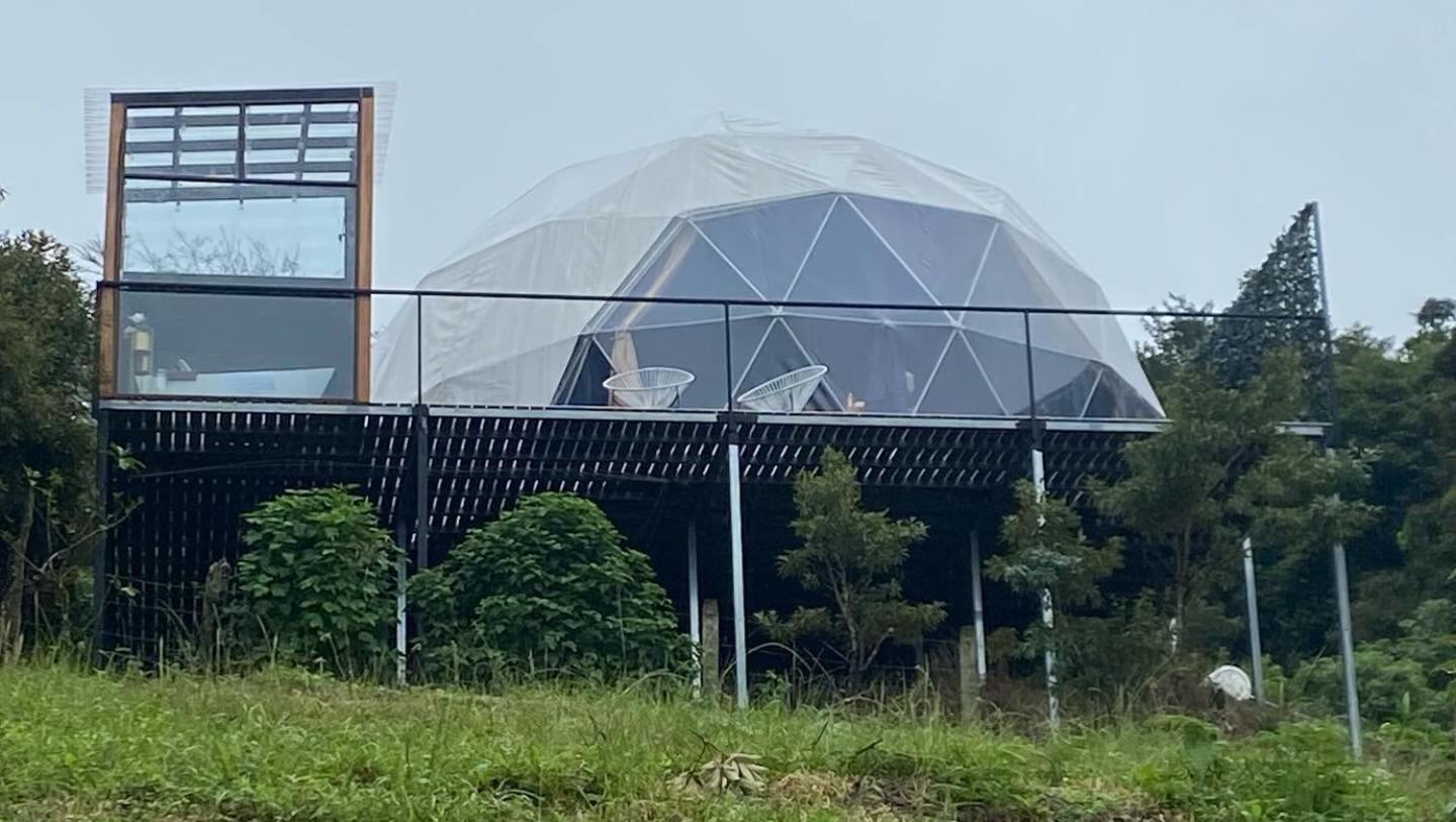 Fernanda Felisa Domes