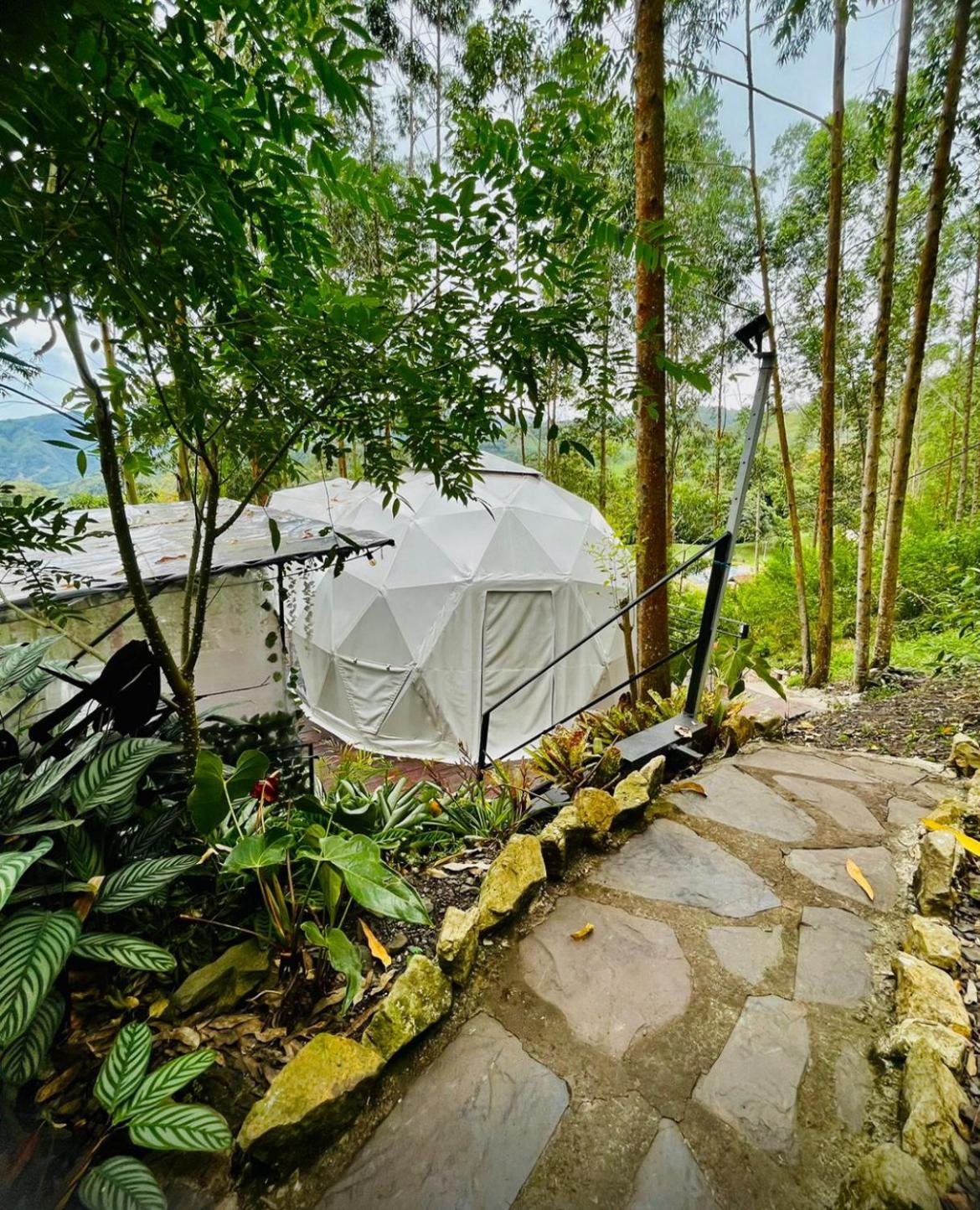 Glamping valhalla La vega