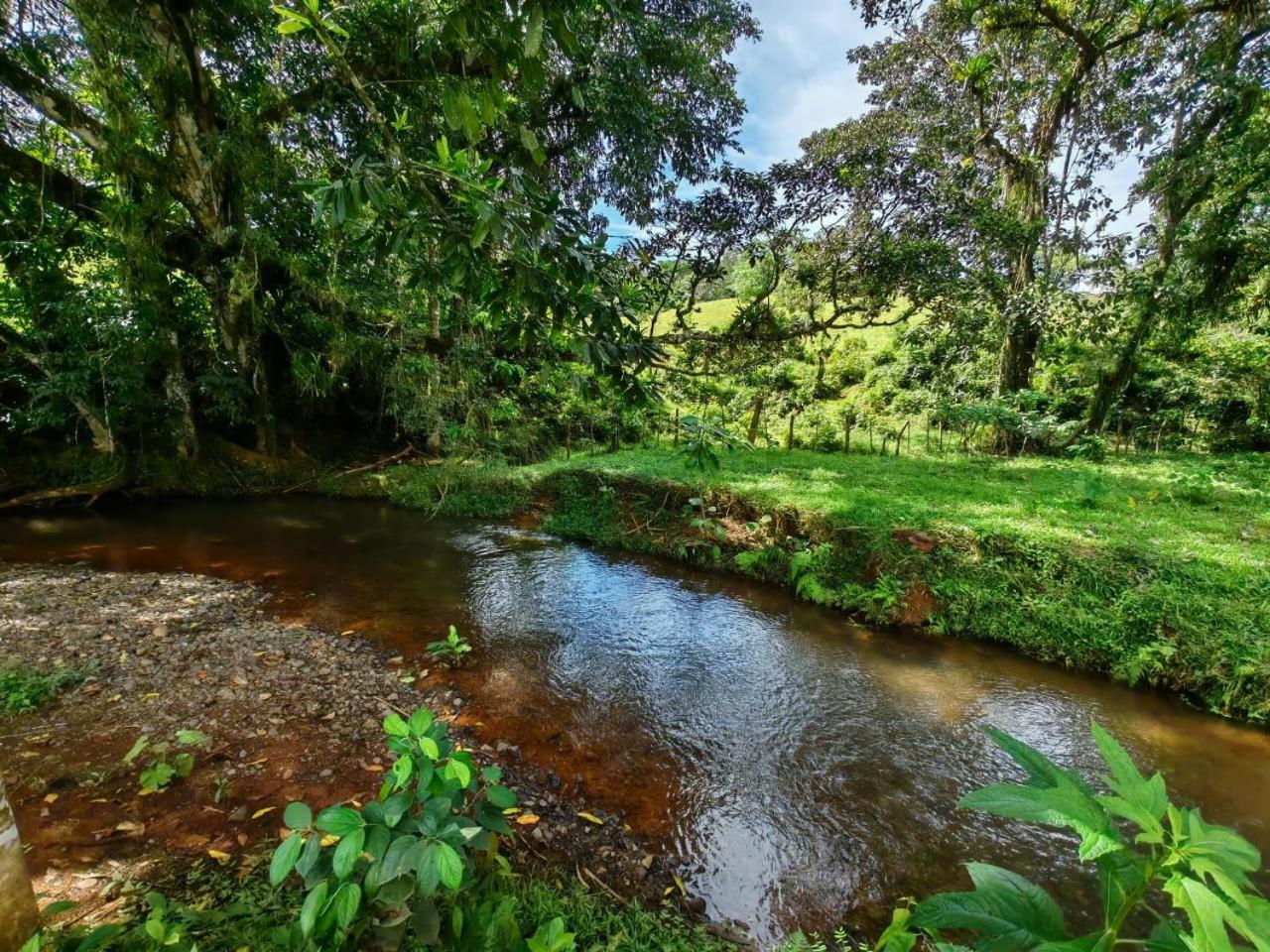 Ceibo Lodge, great birdwatching