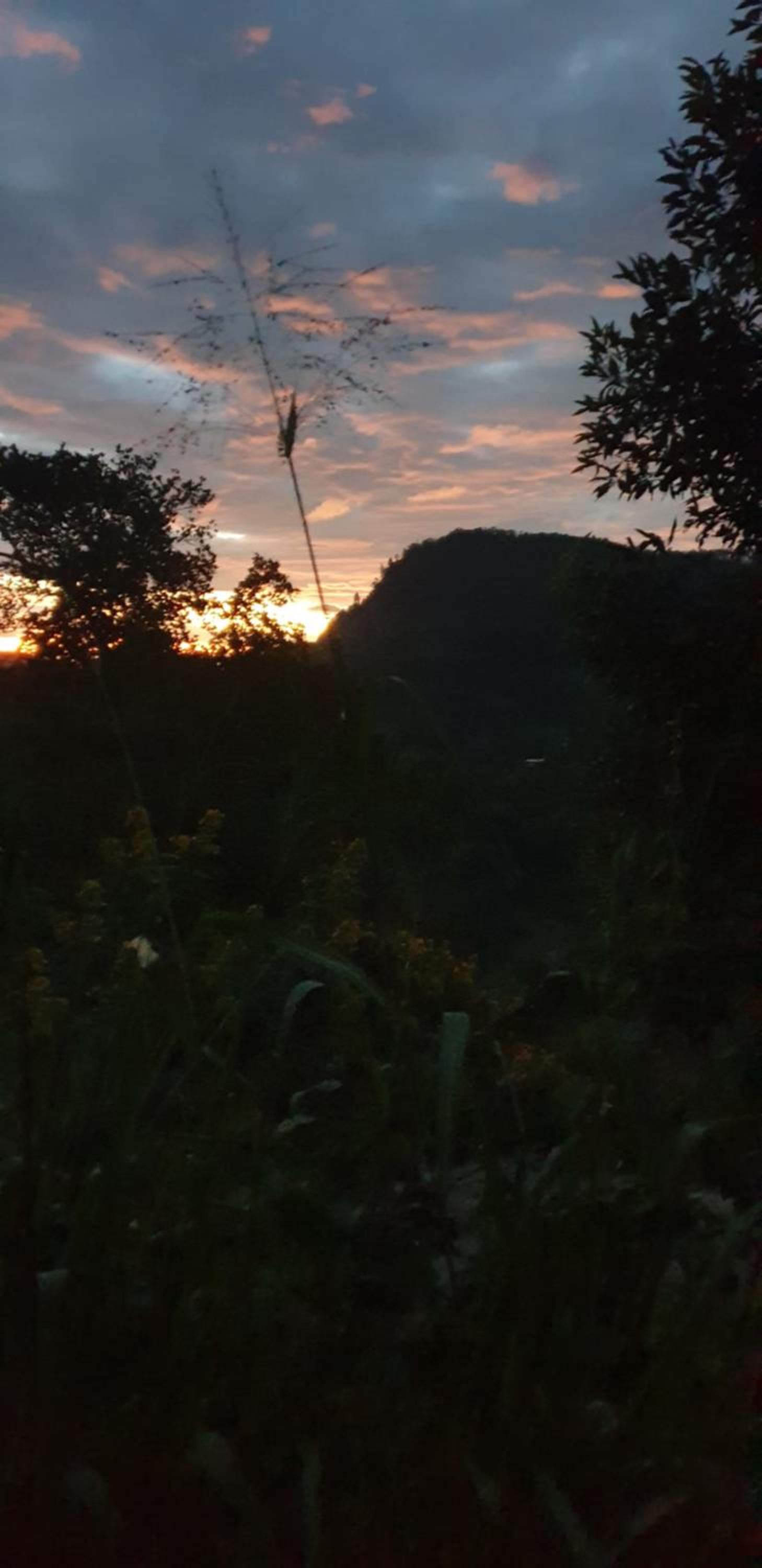 Himansa Homestay