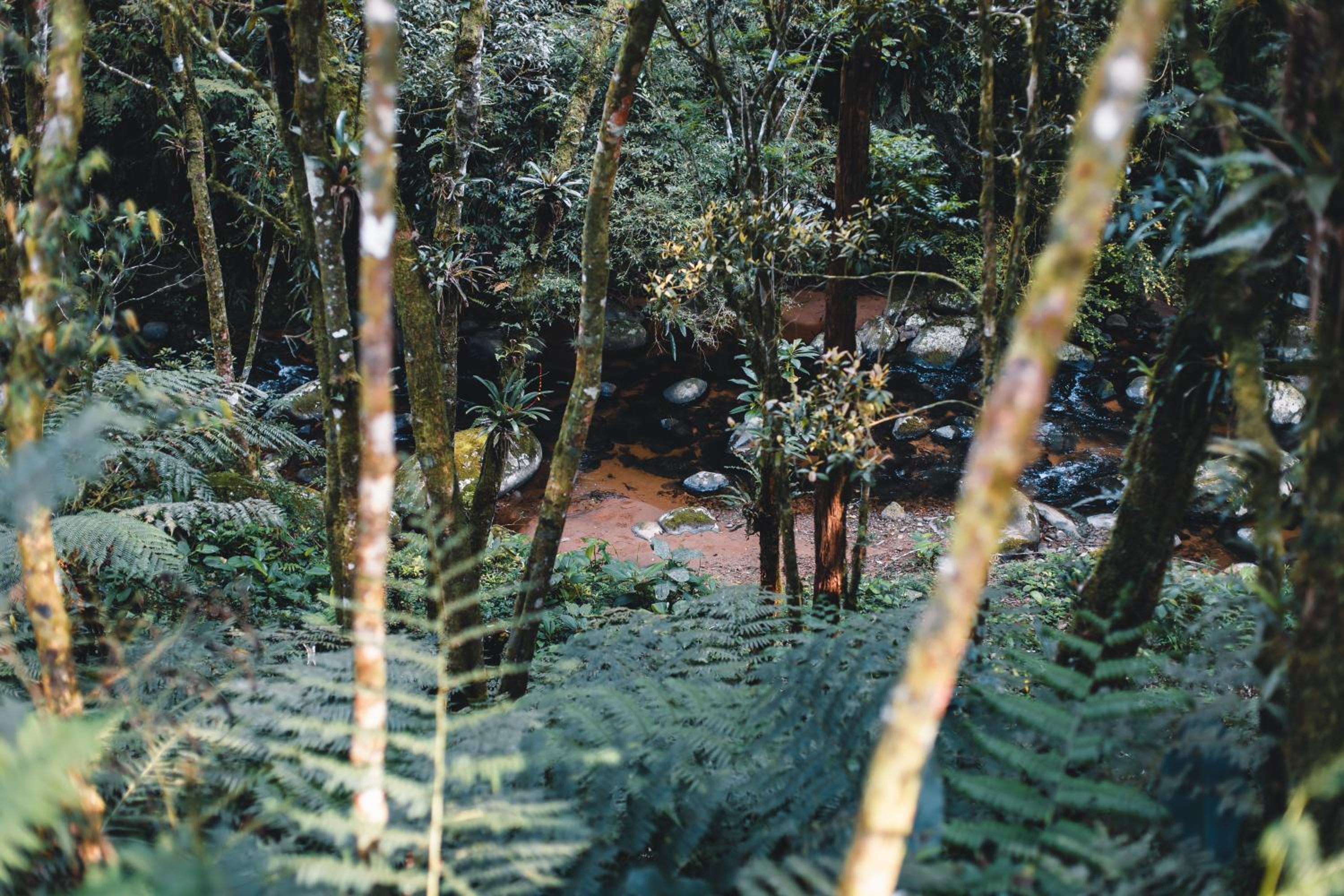 Eagle Hill