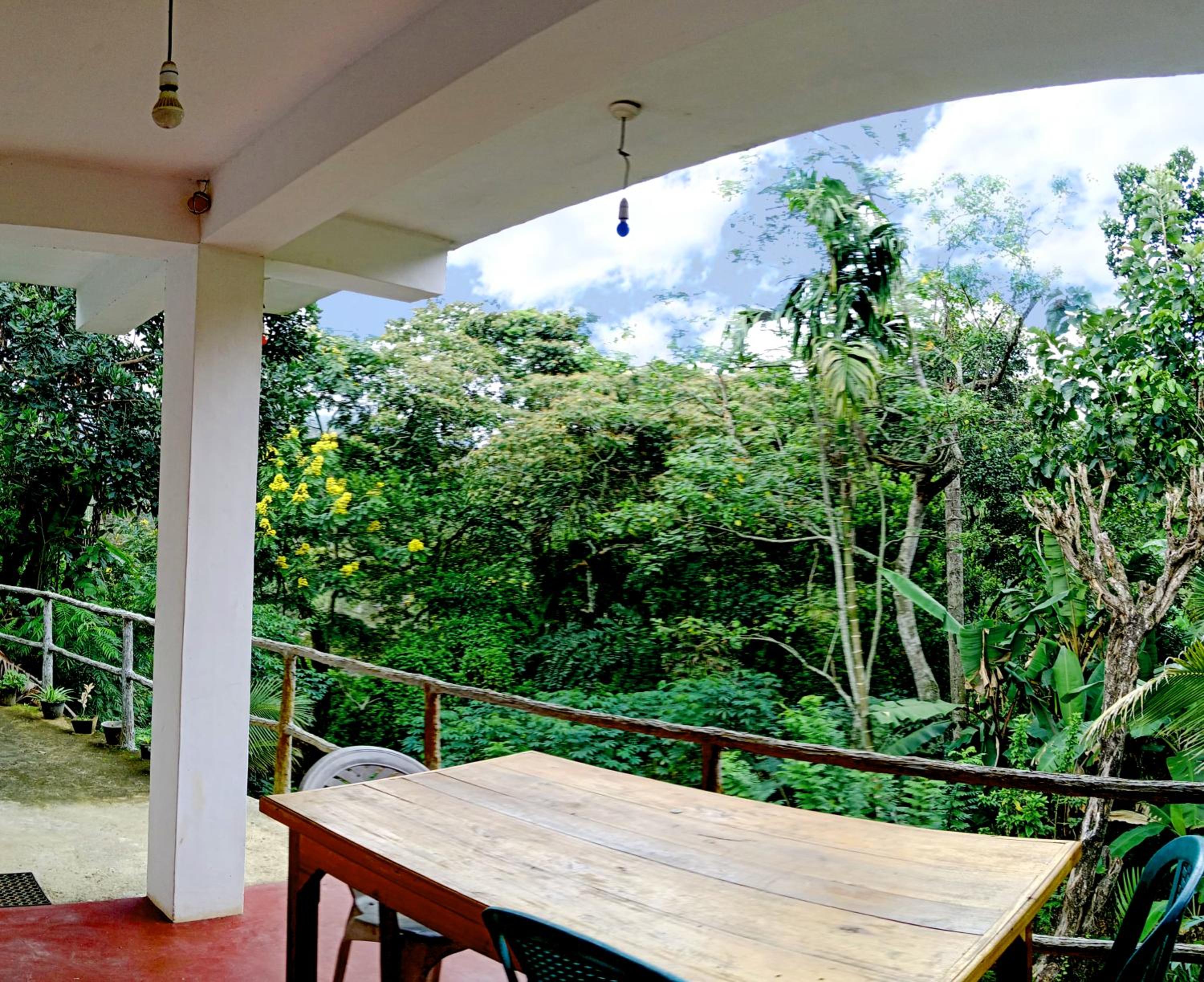 Wild Grass Villa - Ella view 3