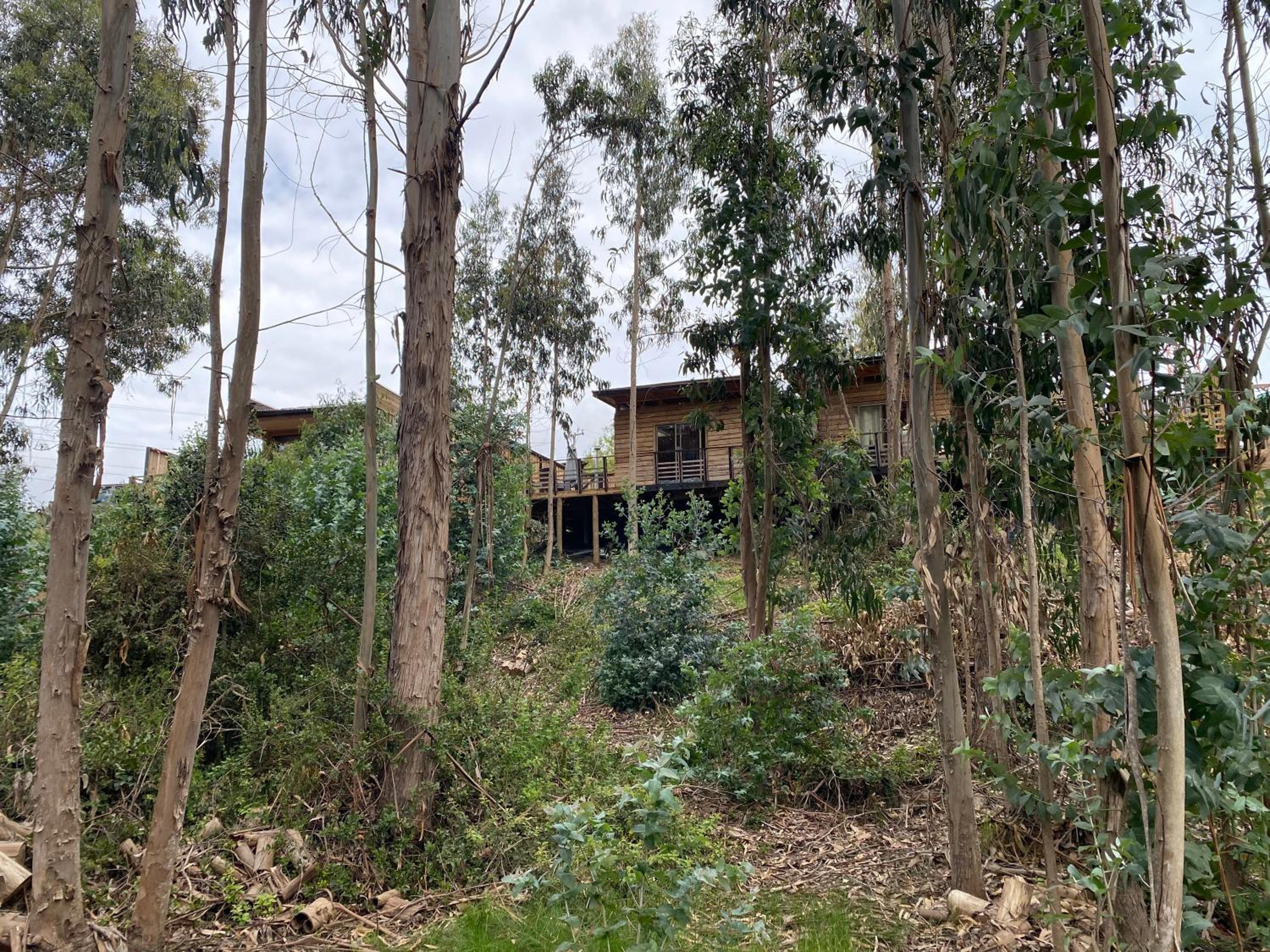 Refugio Nomade -Apartamentos con hot tub-