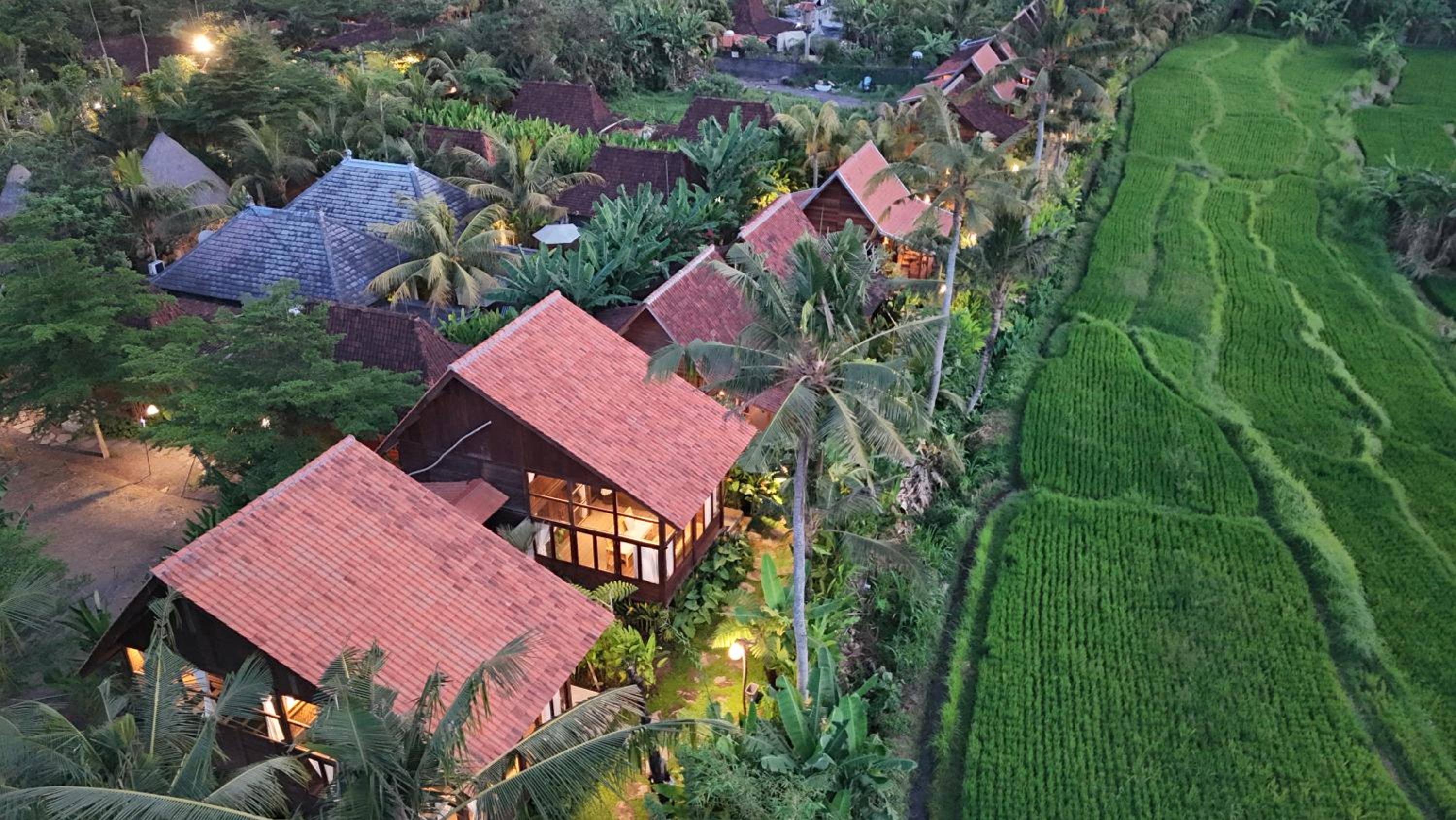 Ubud Art Resort view 4