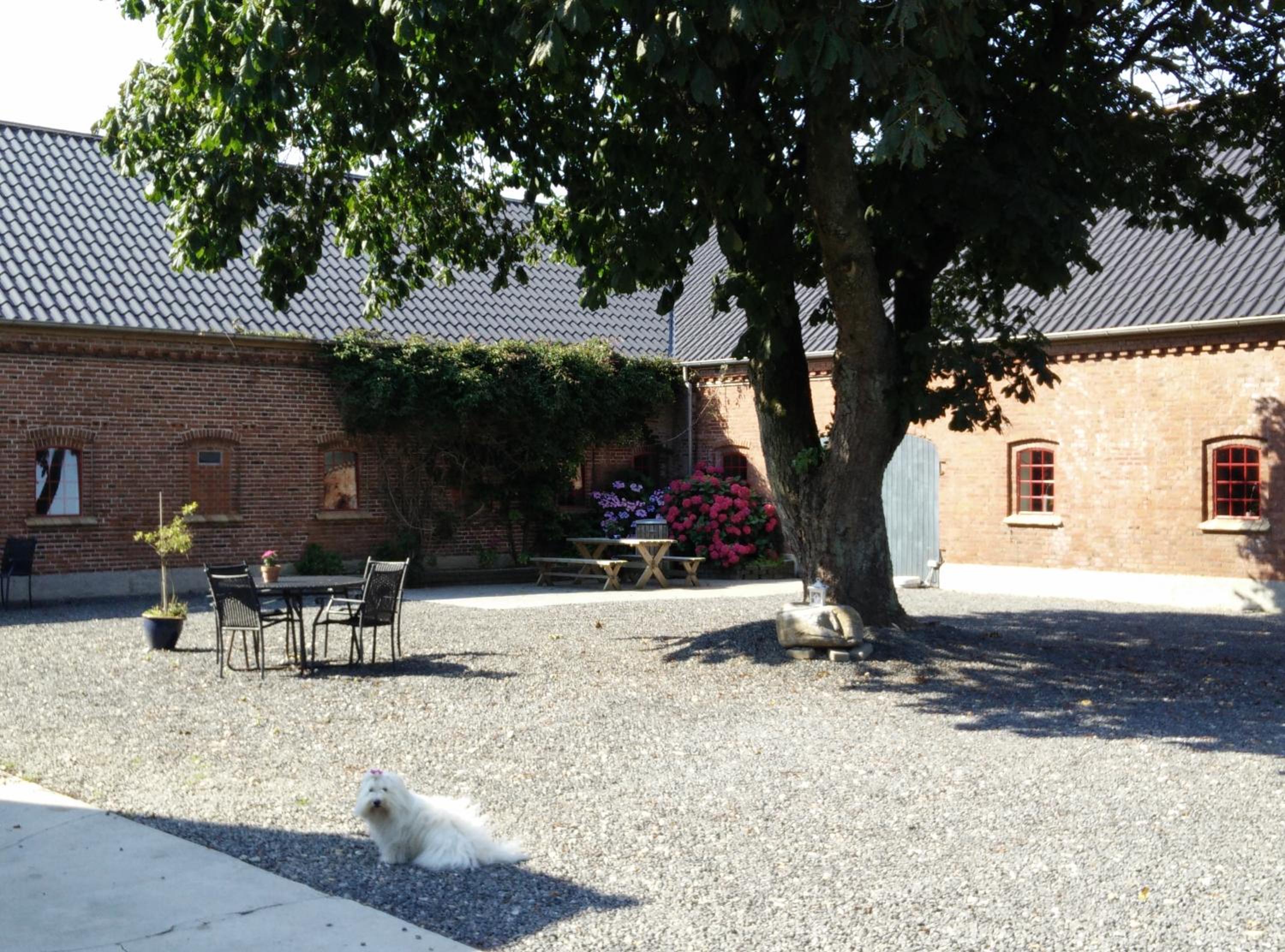 Photo 25