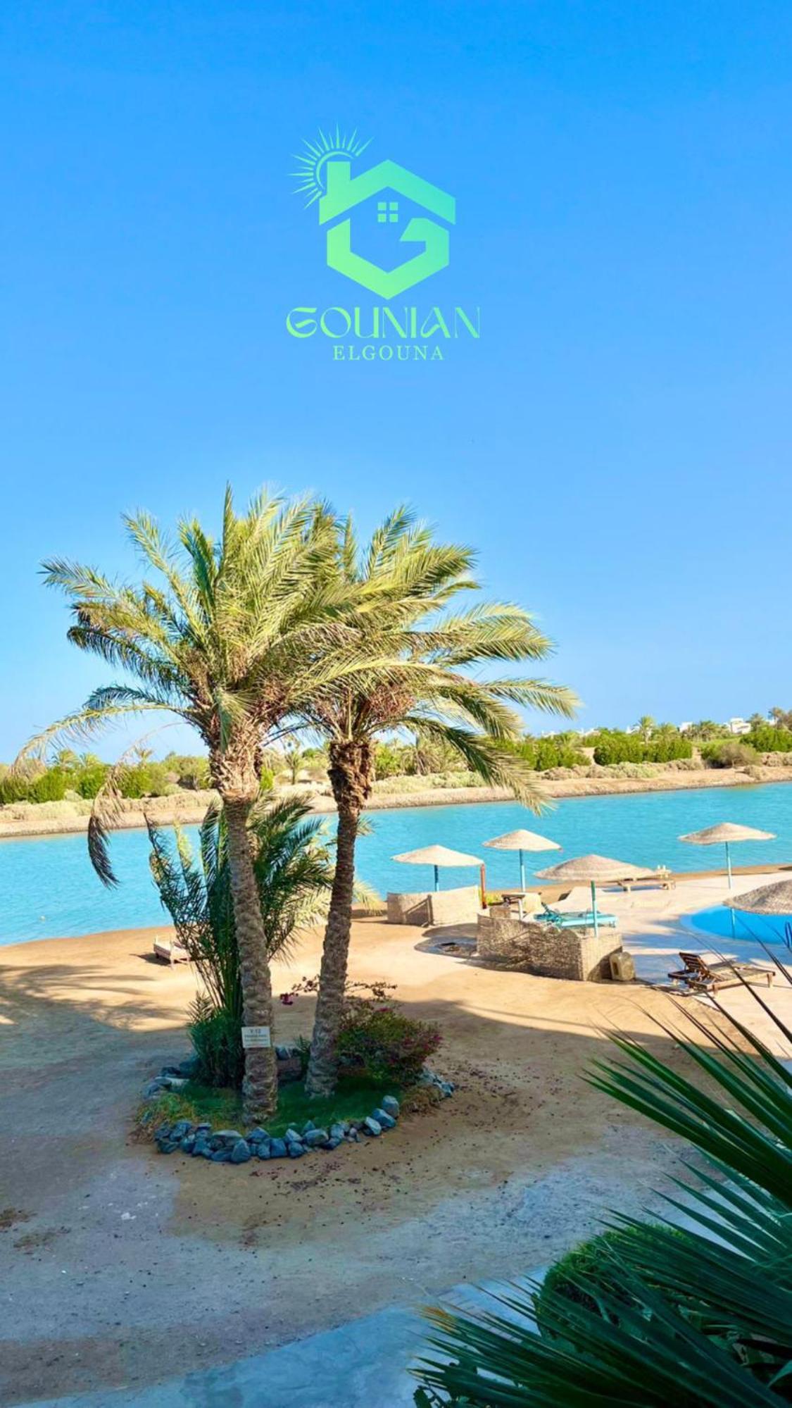 El Gouna west golf Y12