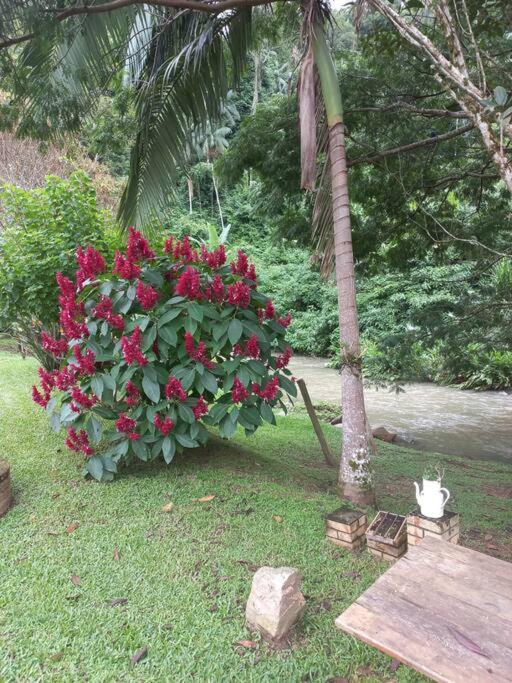 Sossego e Natureza ! Sítio Canto Alegre !