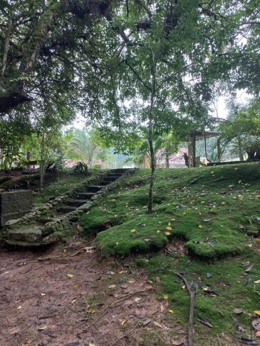 Sossego e Natureza ! Sítio Canto Alegre !