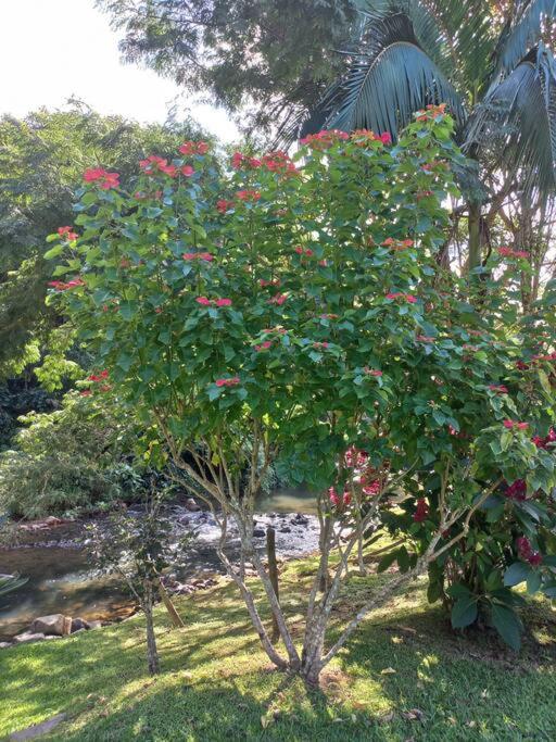 Sossego e Natureza ! Sítio Canto Alegre !