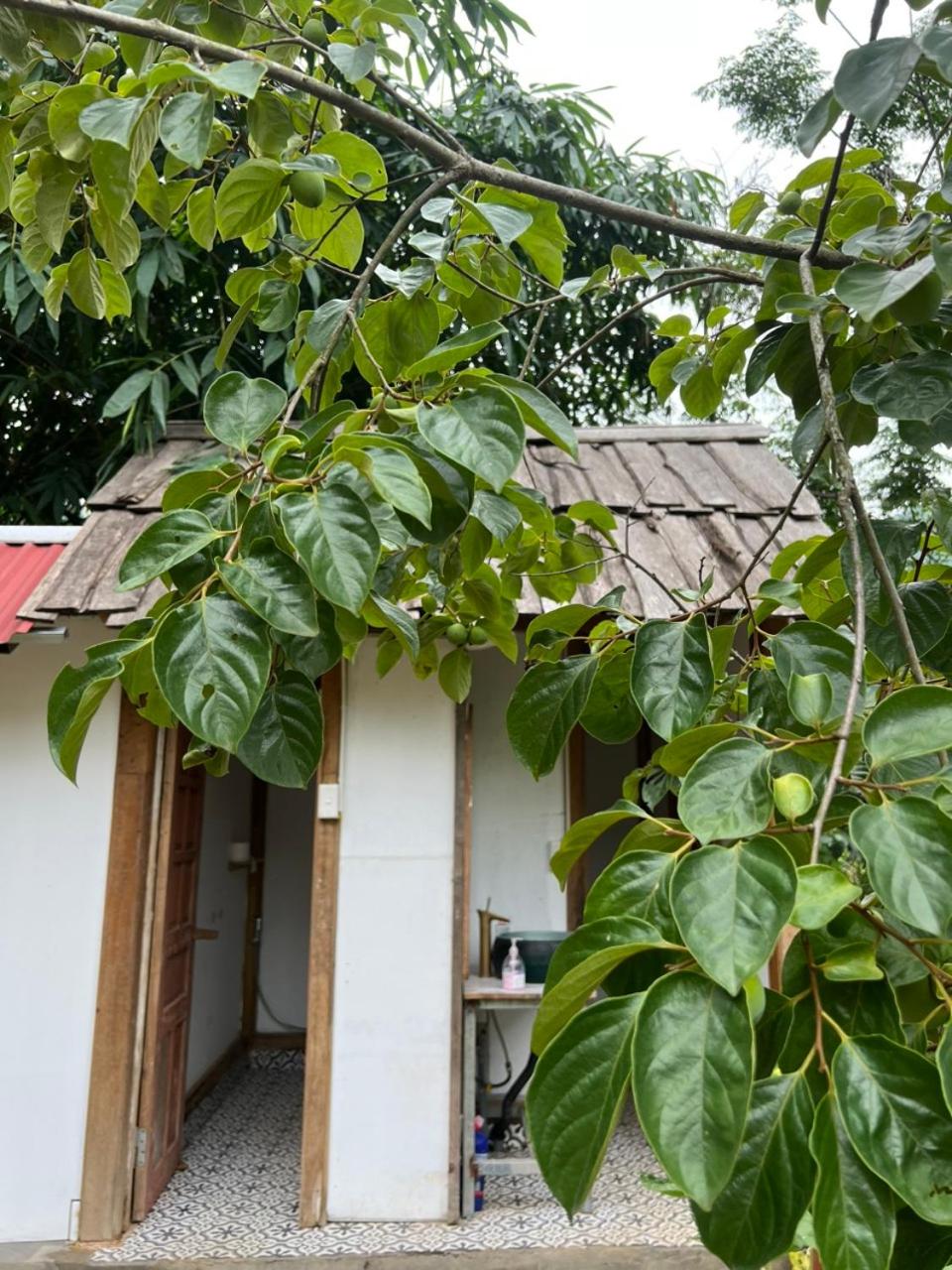 May Homestay Soc Son - Venuestay