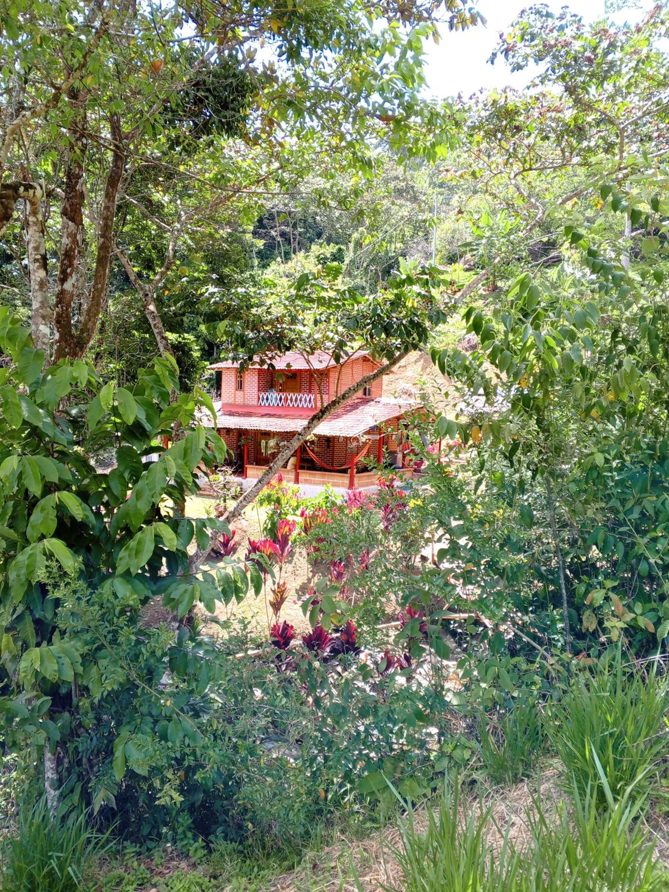 Cabaña en el Bosque