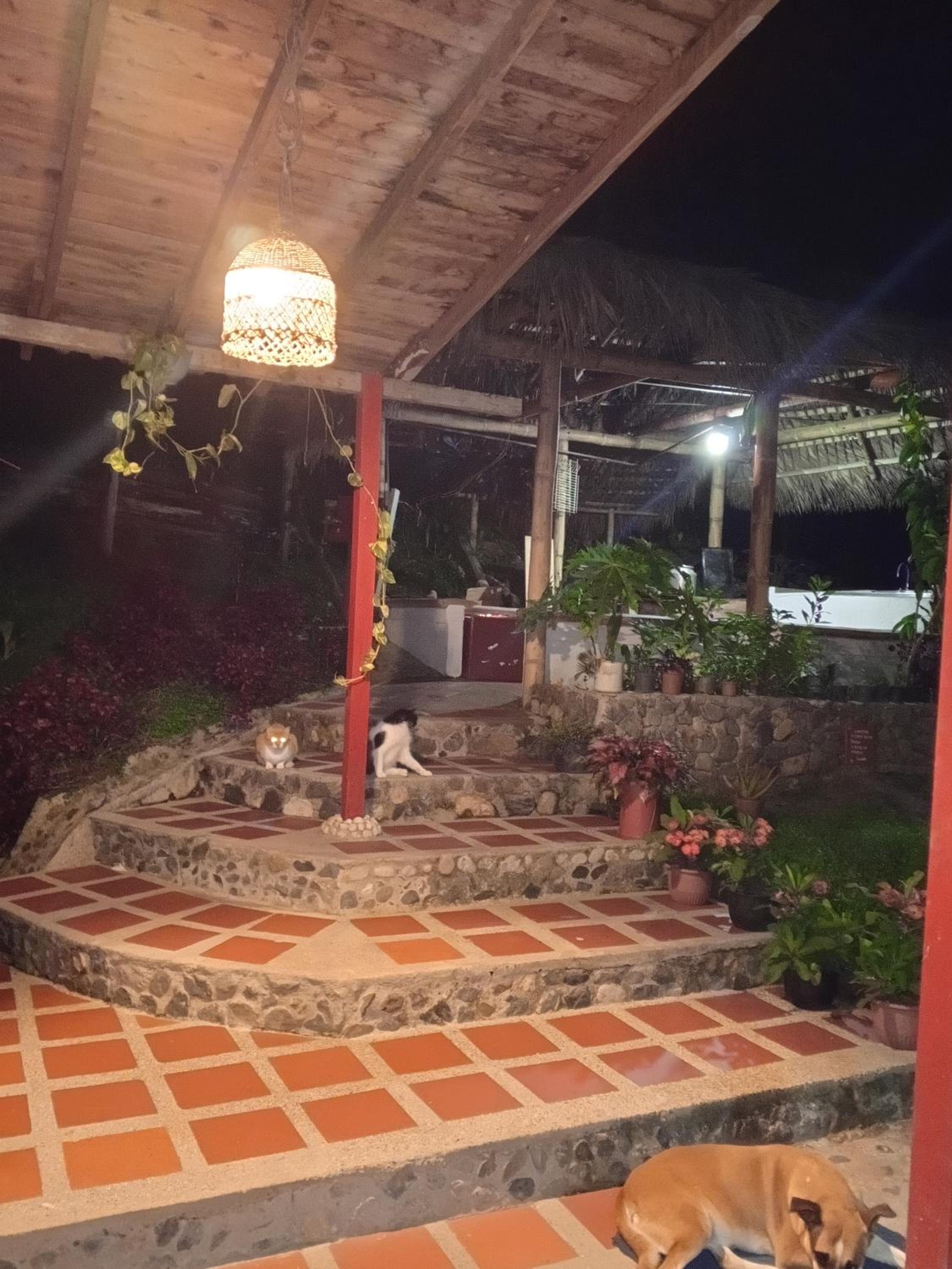 Cabaña en el Bosque
