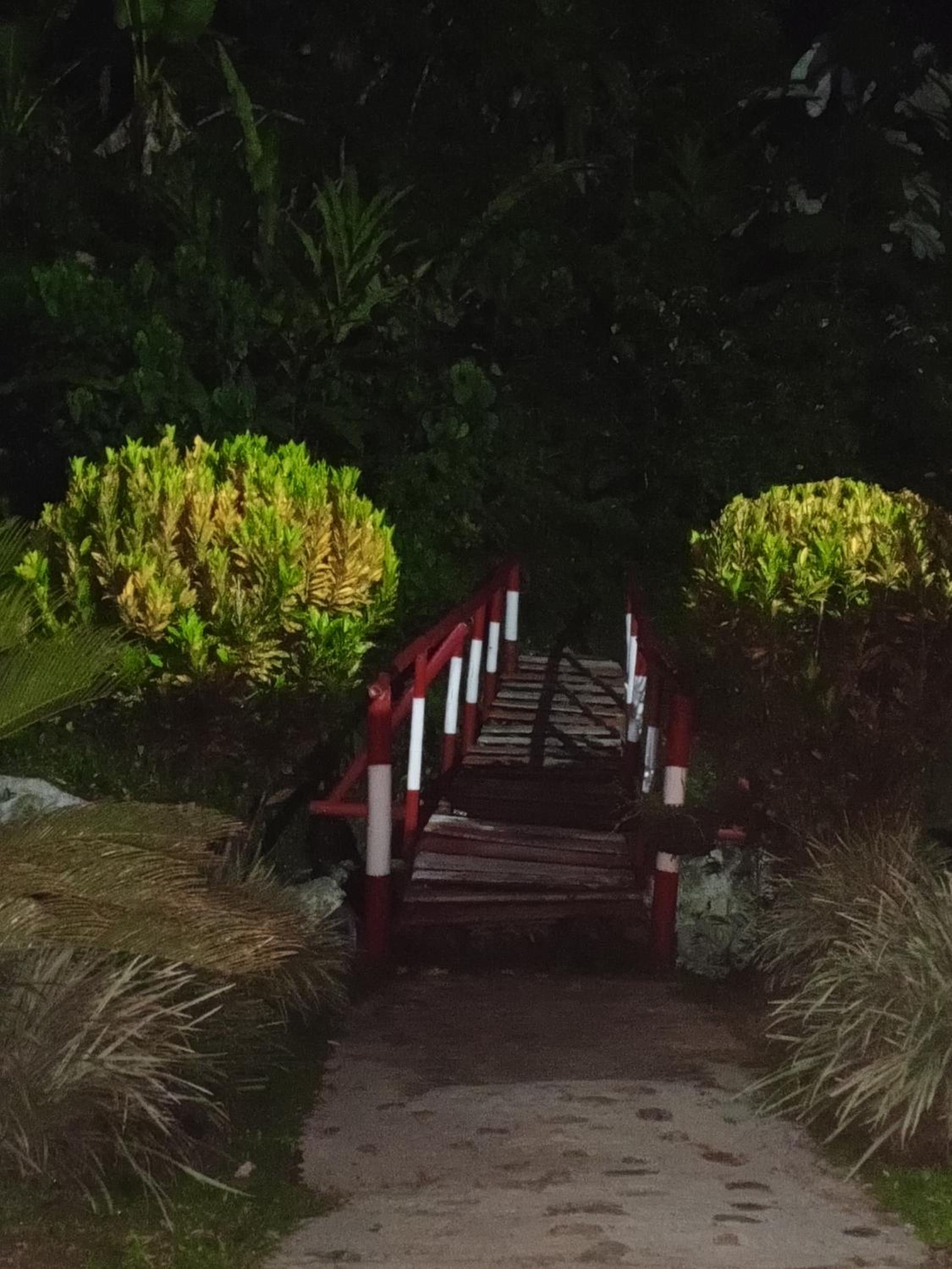 Cabaña en el Bosque