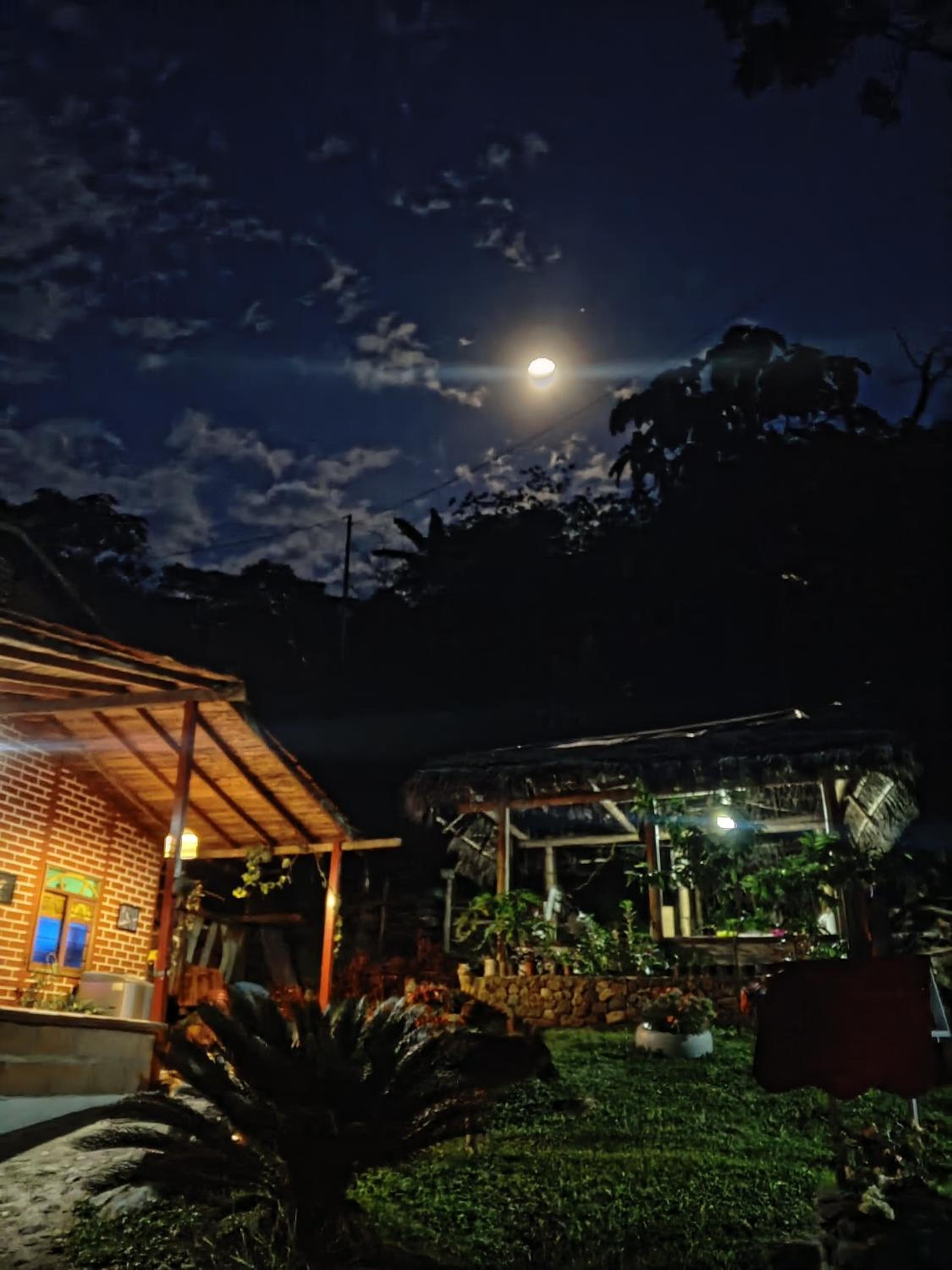 Cabaña en el Bosque