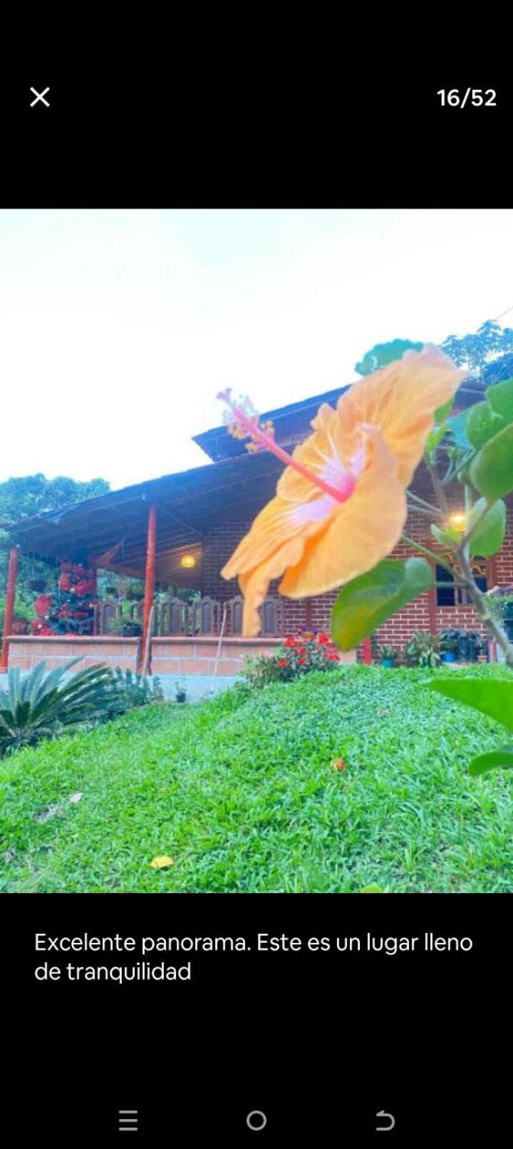Cabaña en el Bosque