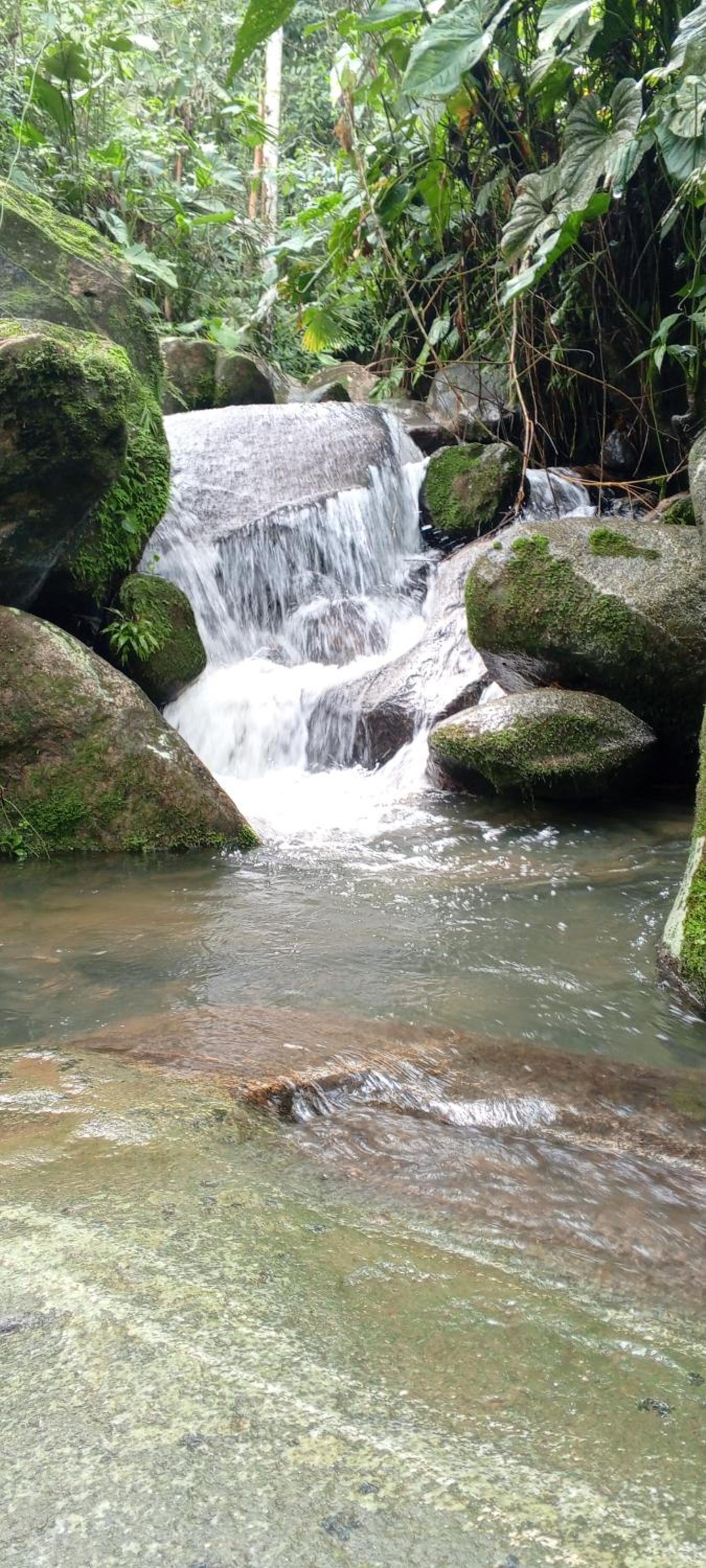 Cabaña en el Bosque