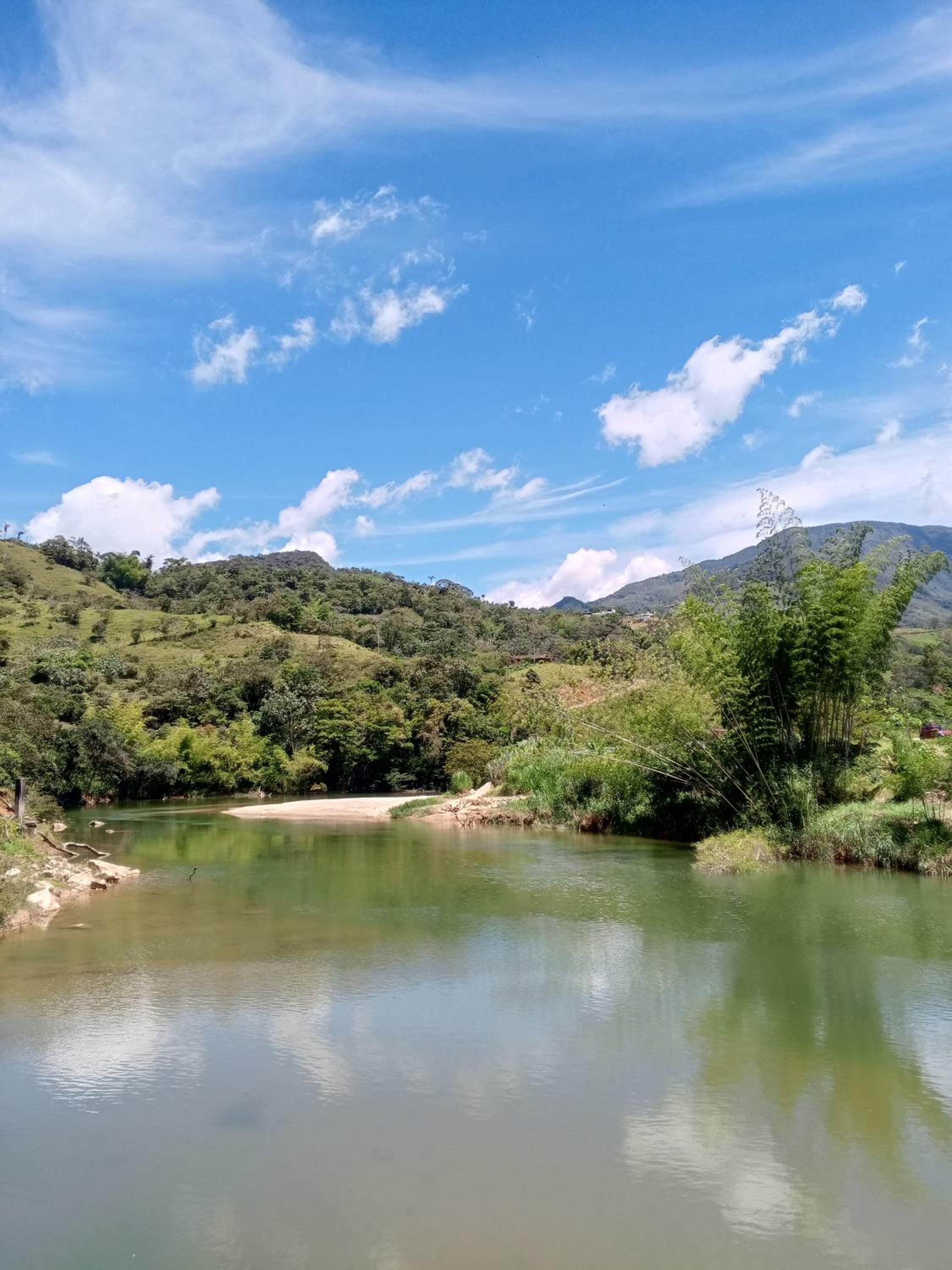 Cabaña en el Bosque