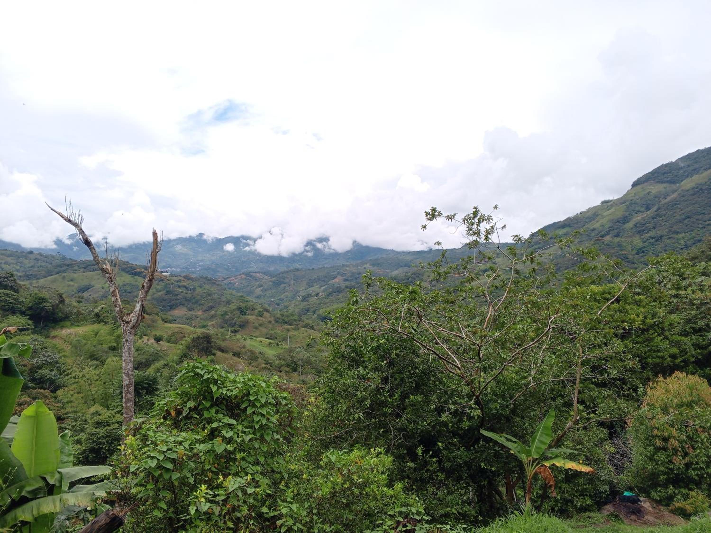 Cabaña en el Bosque