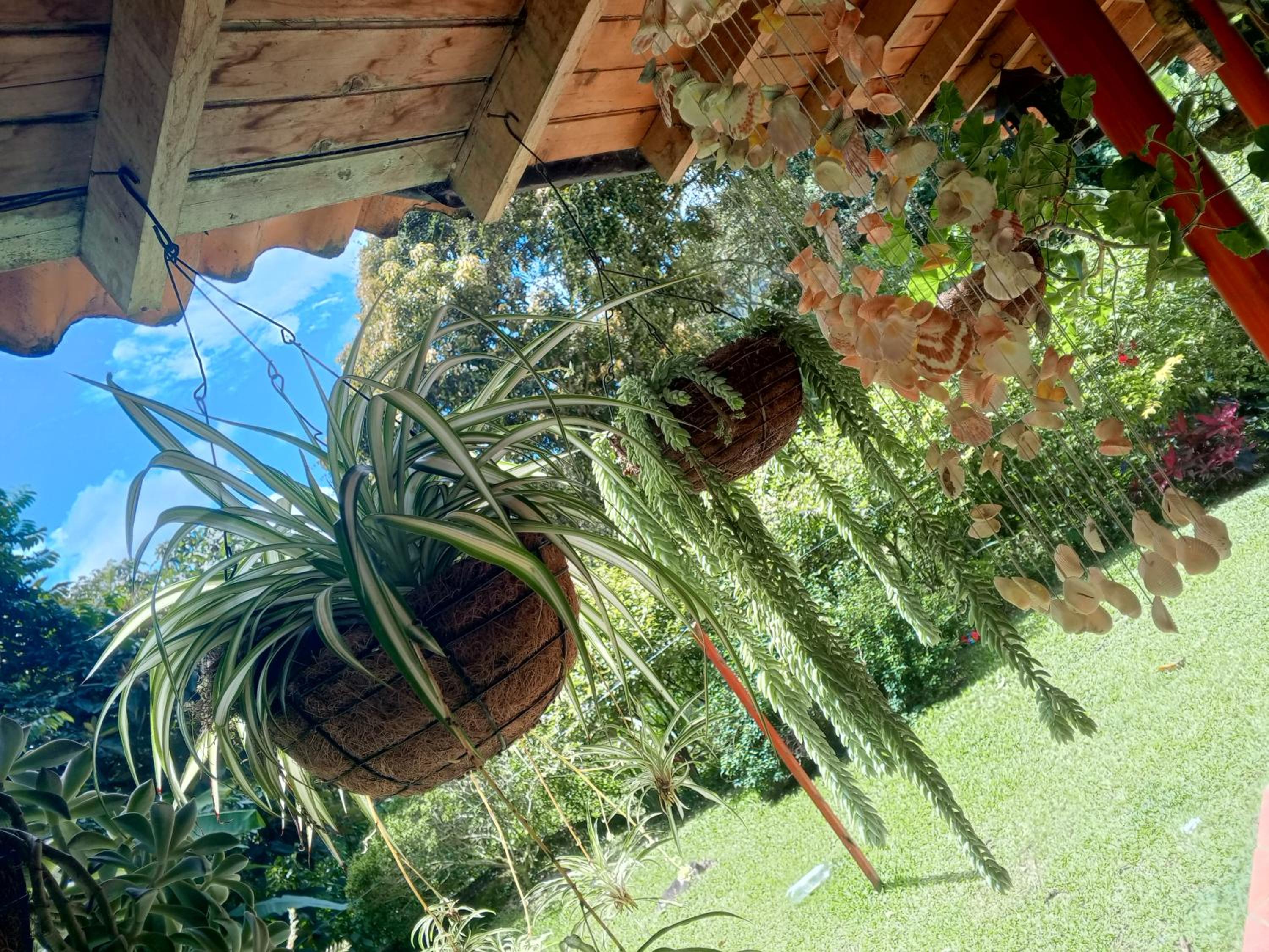 Cabaña en el Bosque