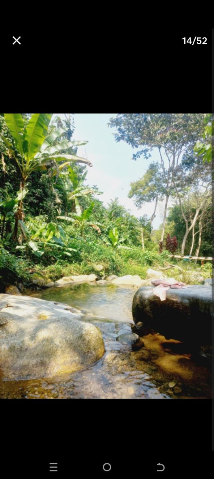 Cabaña en el Bosque