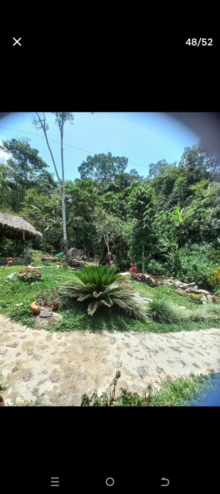 Cabaña en el Bosque