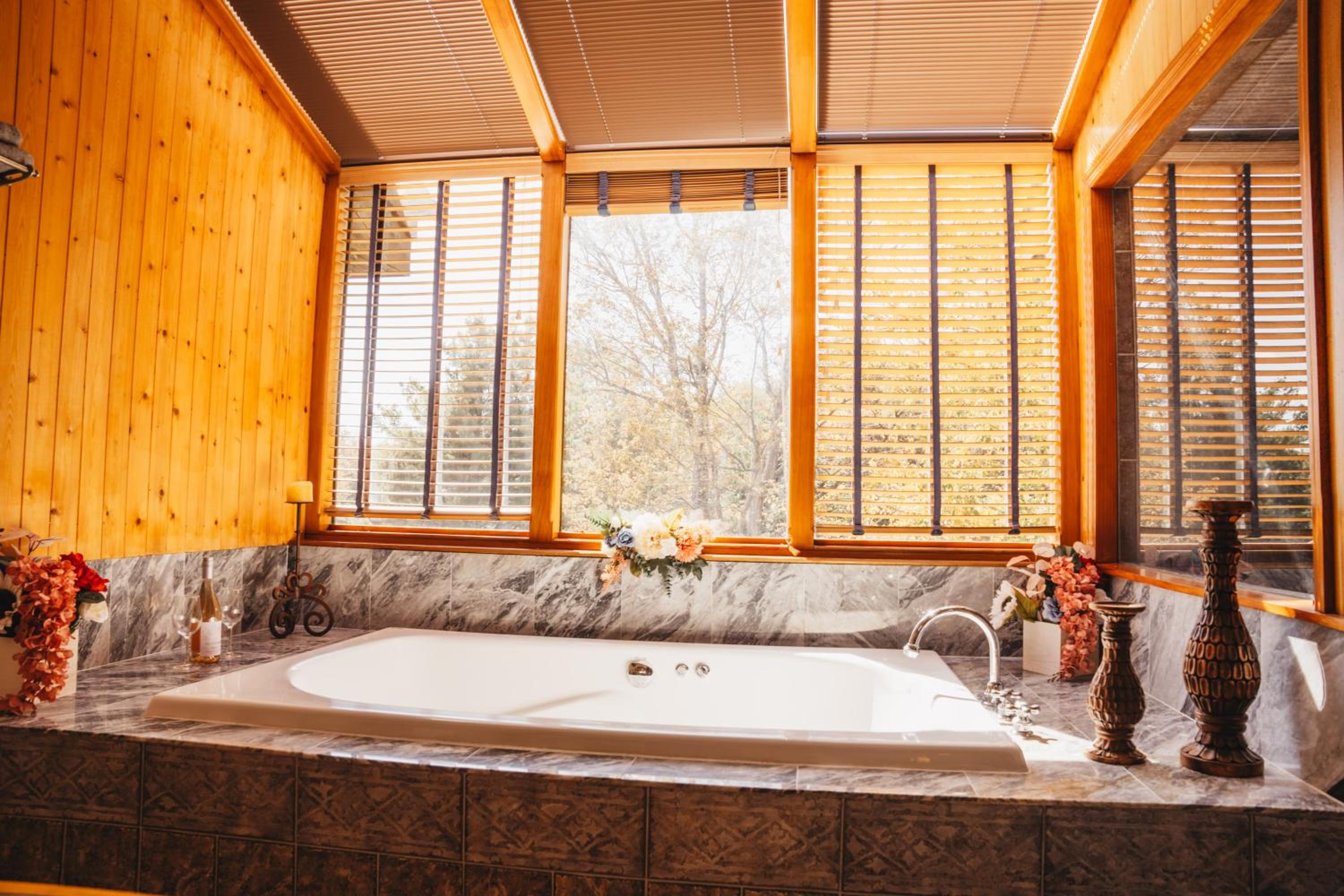 Catskills Luxury Chalet - Mountains Retreat view 4
