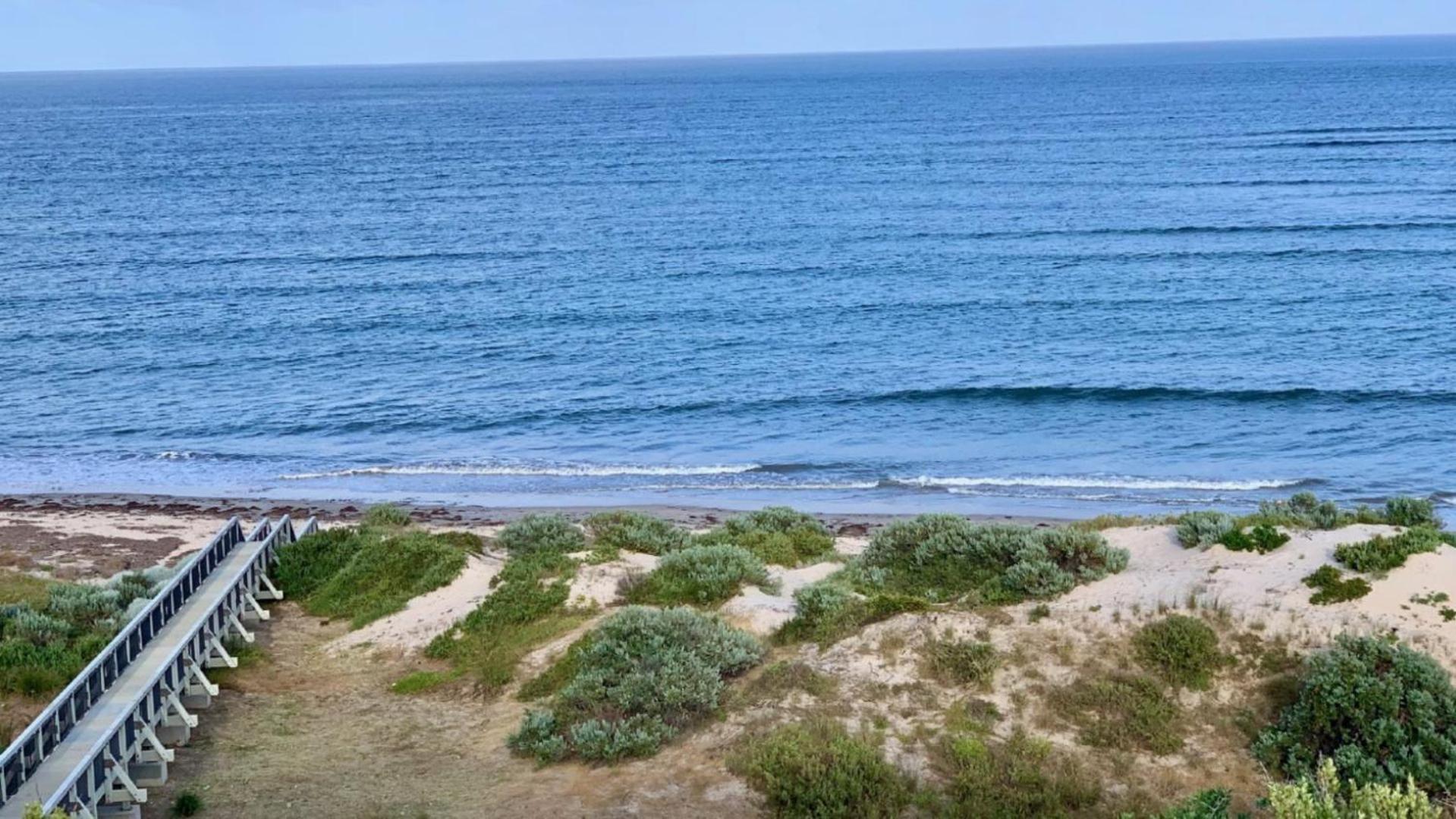 Just the Tonic by Wine Coast Holidays