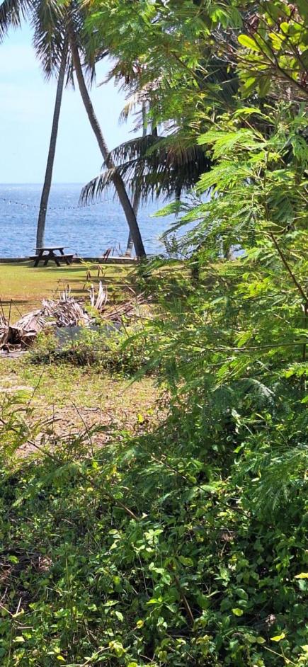 Coconut Cottage Christmas Island