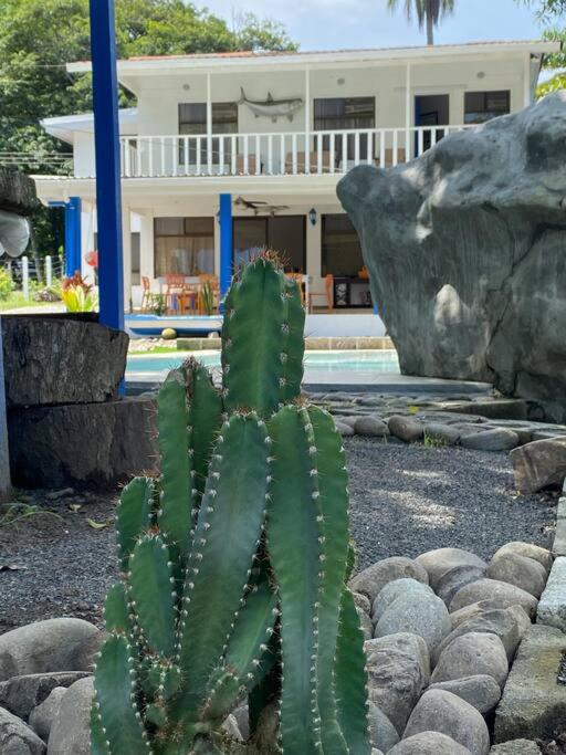 Tivives kikala Lodge