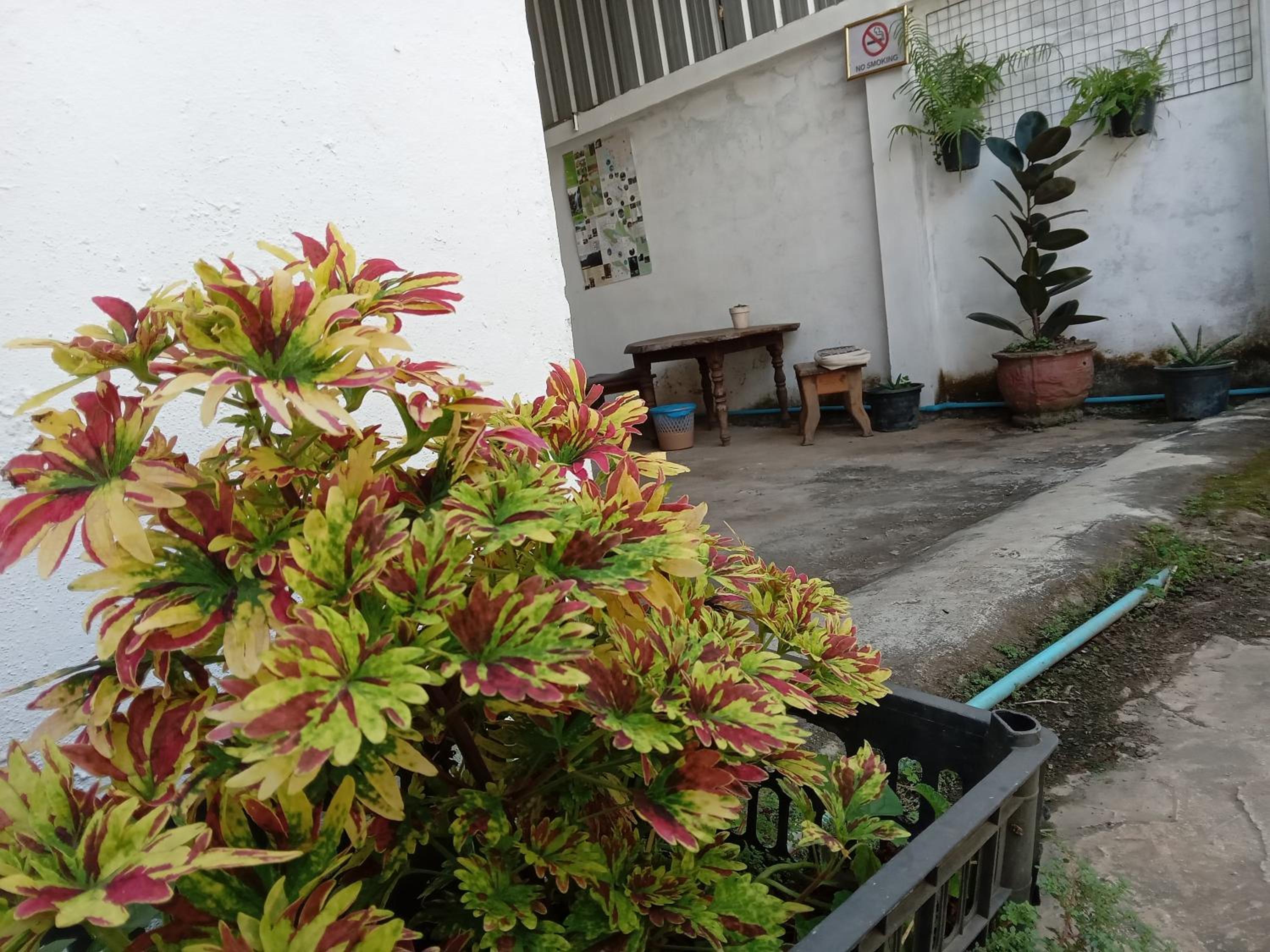 Bami hostel