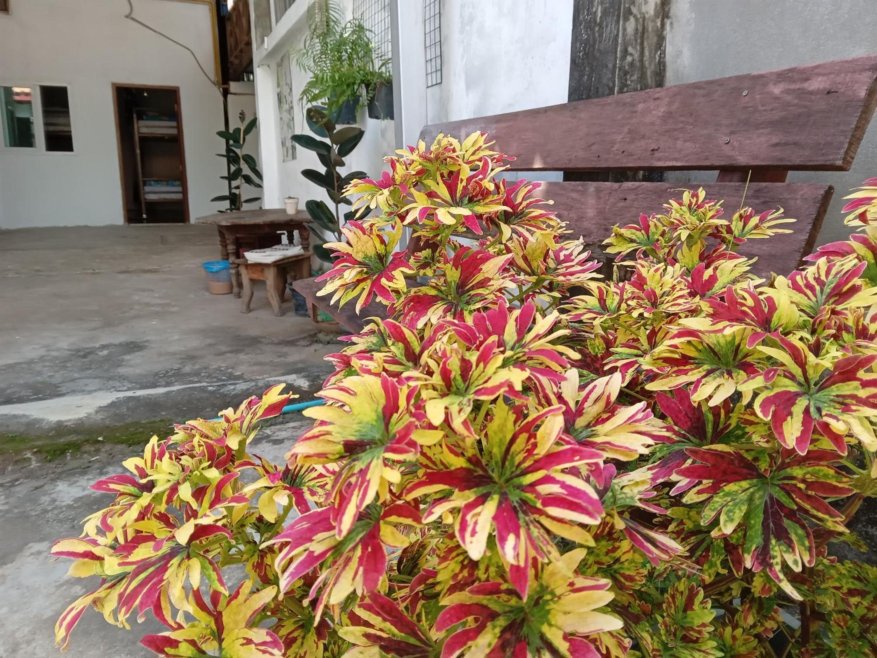 Bami hostel