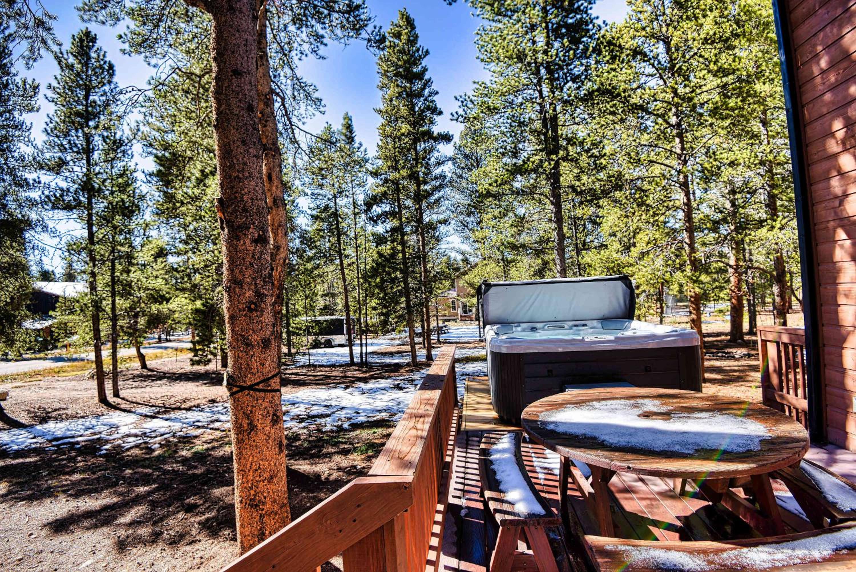 New Listing 3bd Leadville Home w Sauna view 4