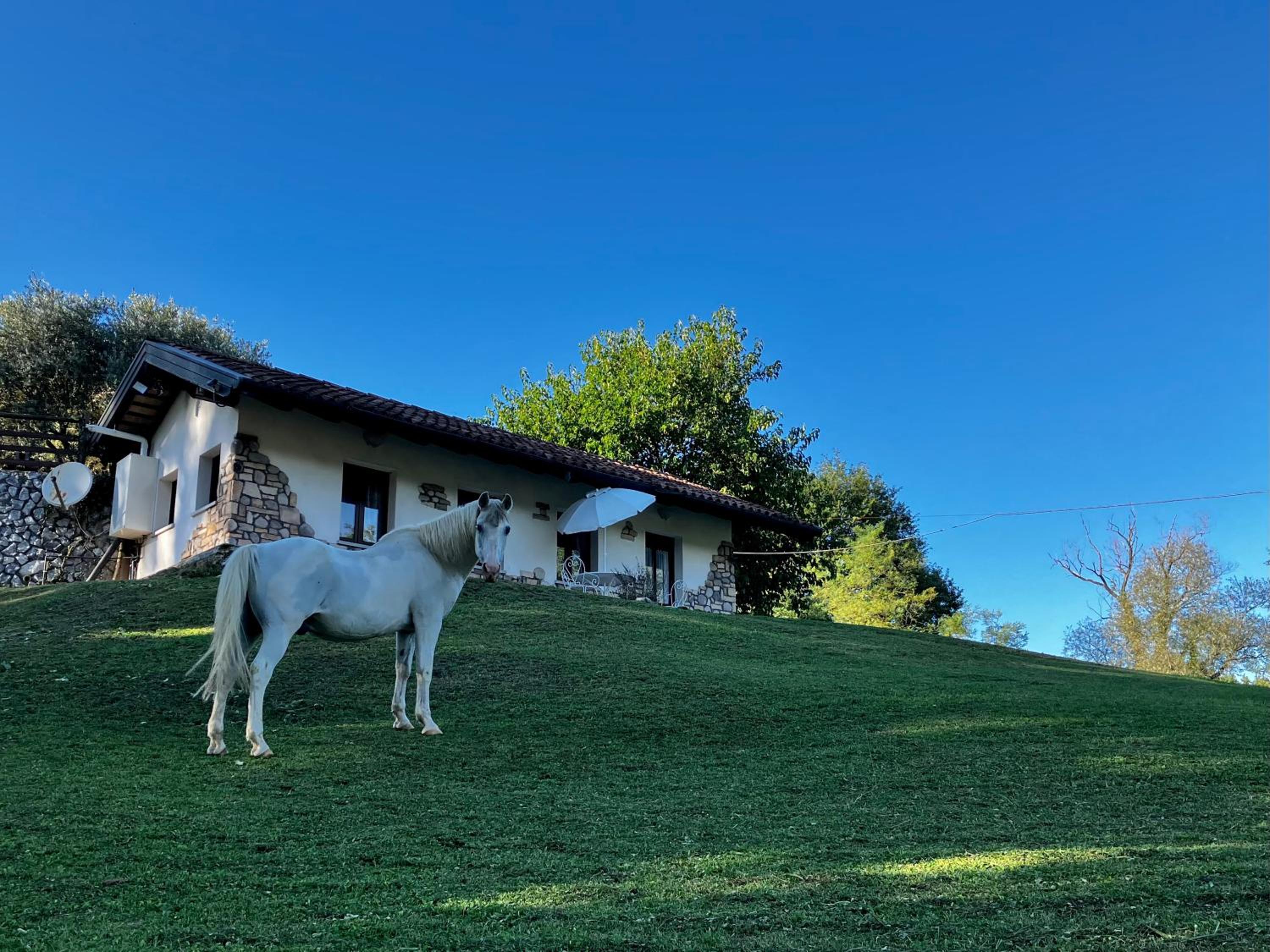 Tenuta Valdomini