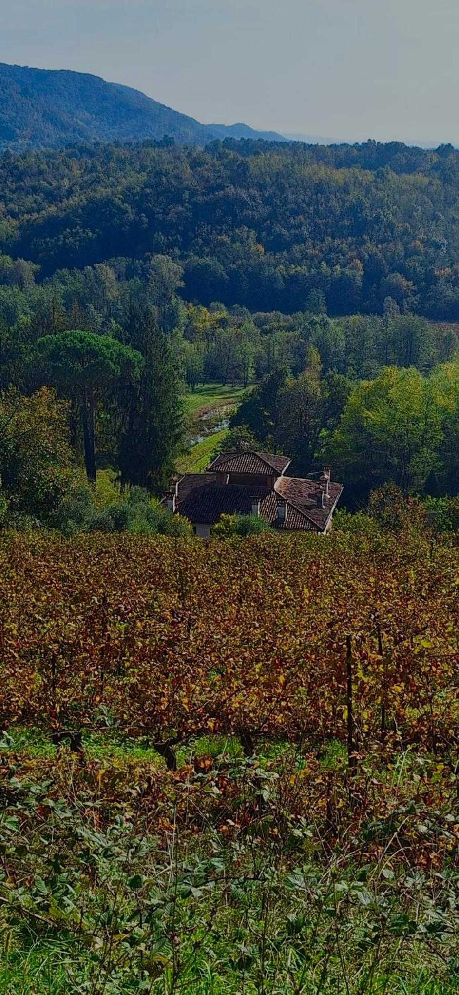 Tenuta Valdomini