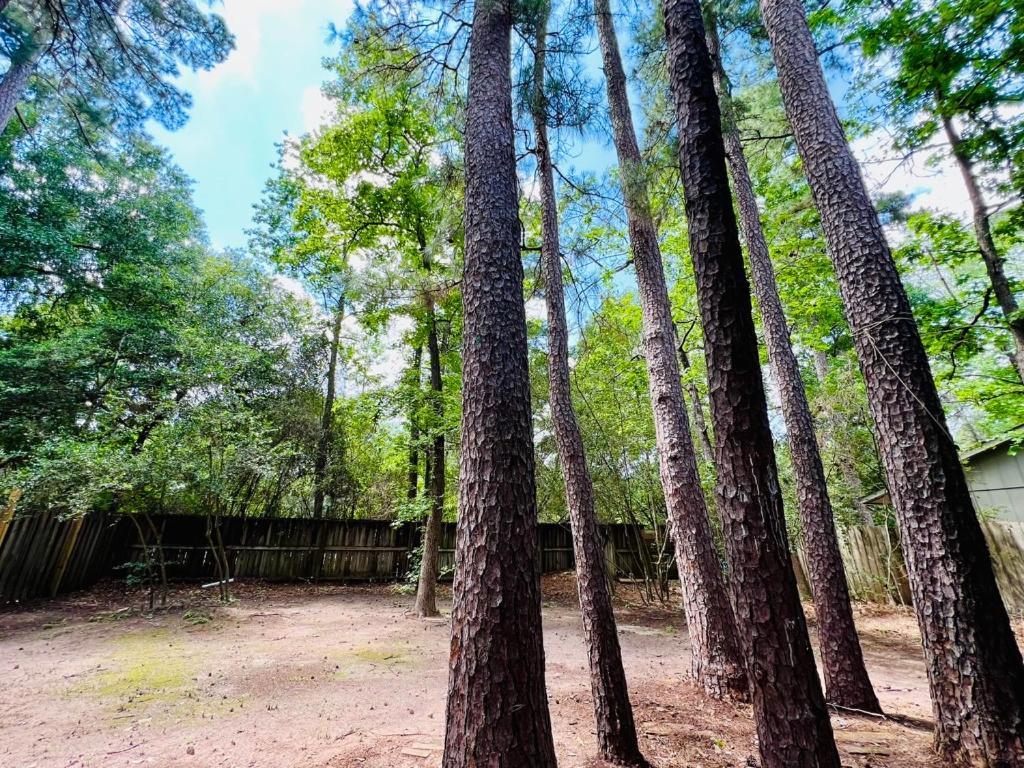House 3-Bed 2,5-Bath FREE Parking with Washer Dryer inside view 4