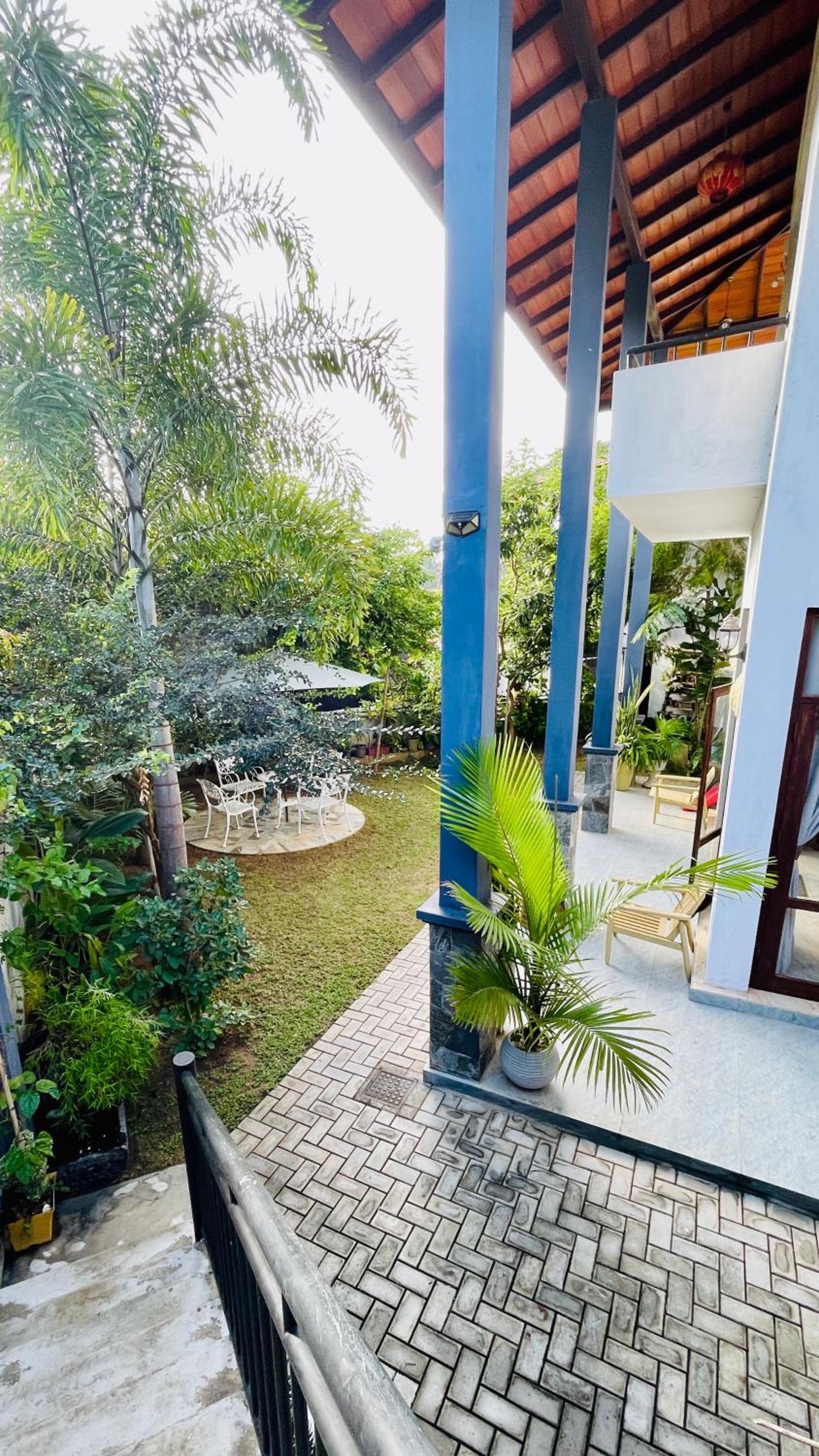 summer nest view 3