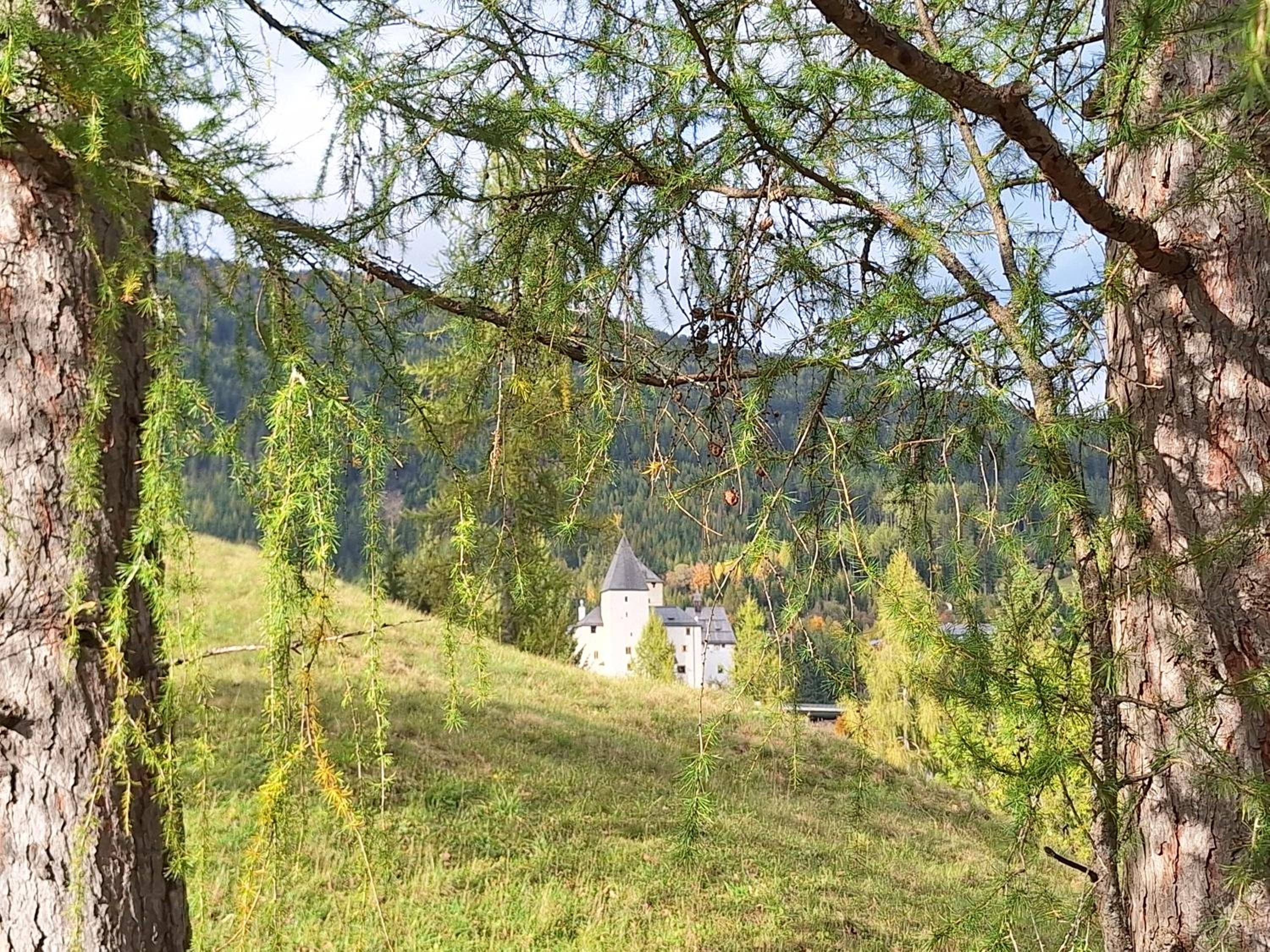 Appartement Bergliebe