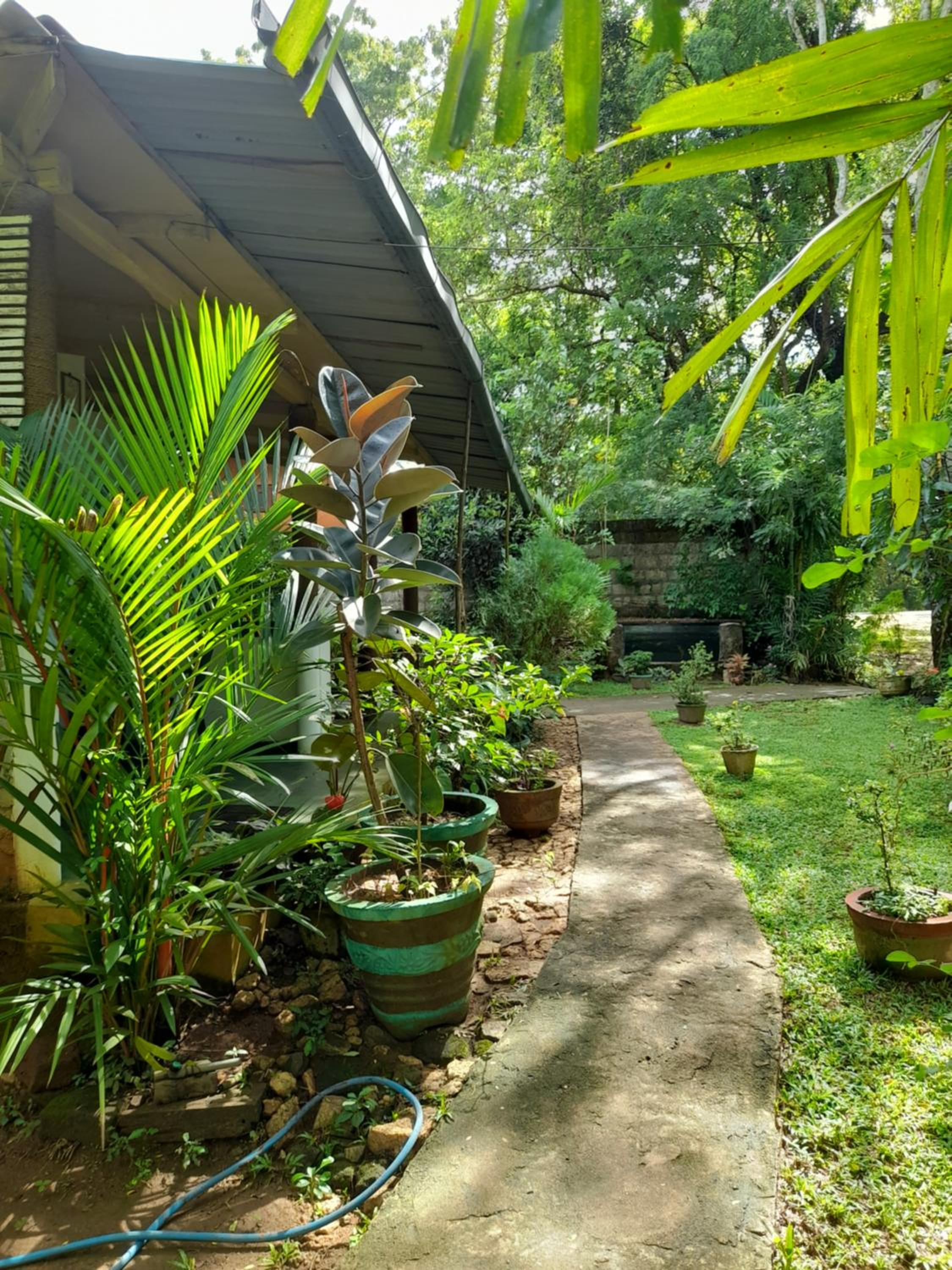 Photo 22