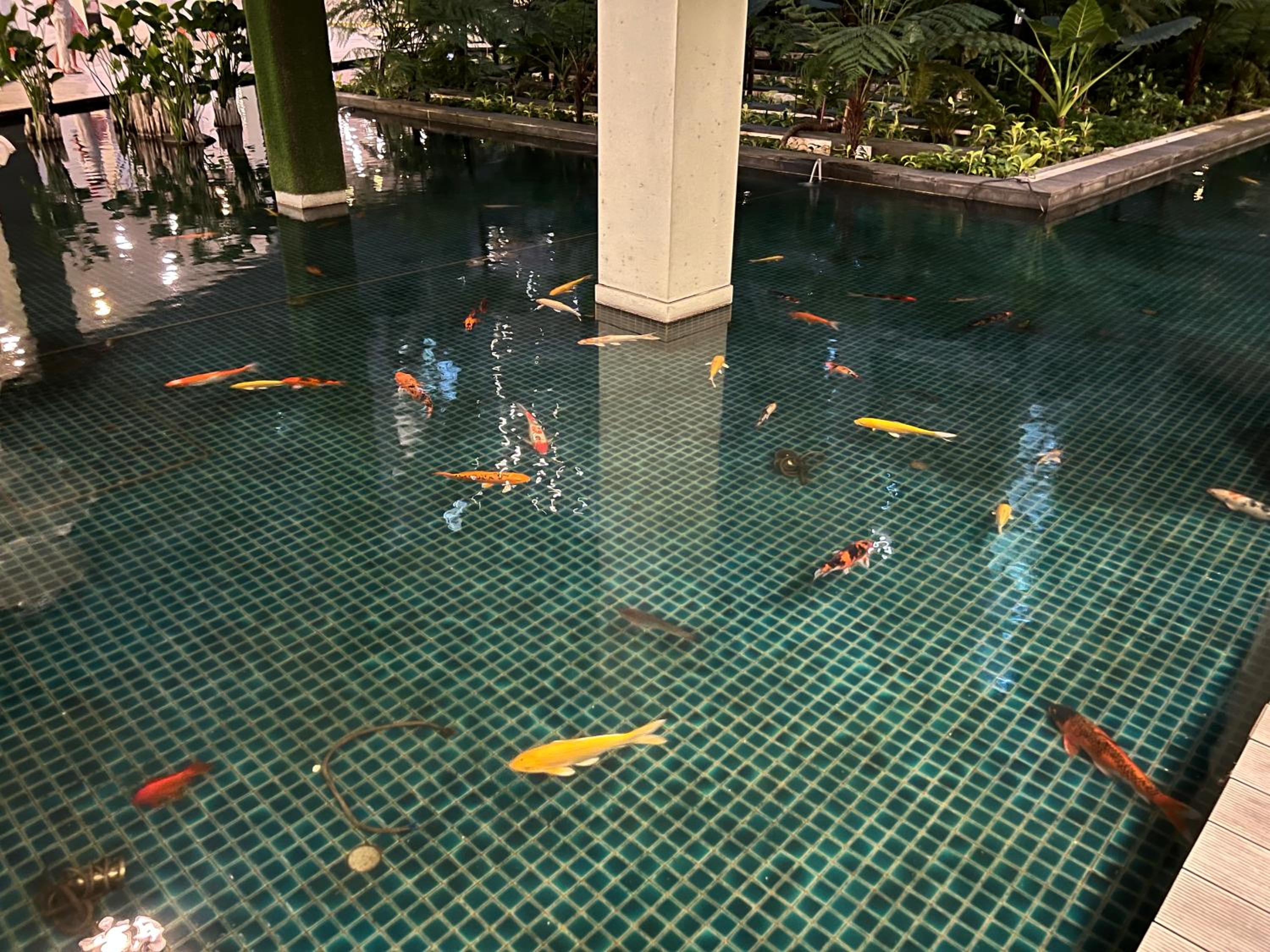 Regalia Suites Skypool View KLCC by Enjoy your stay
