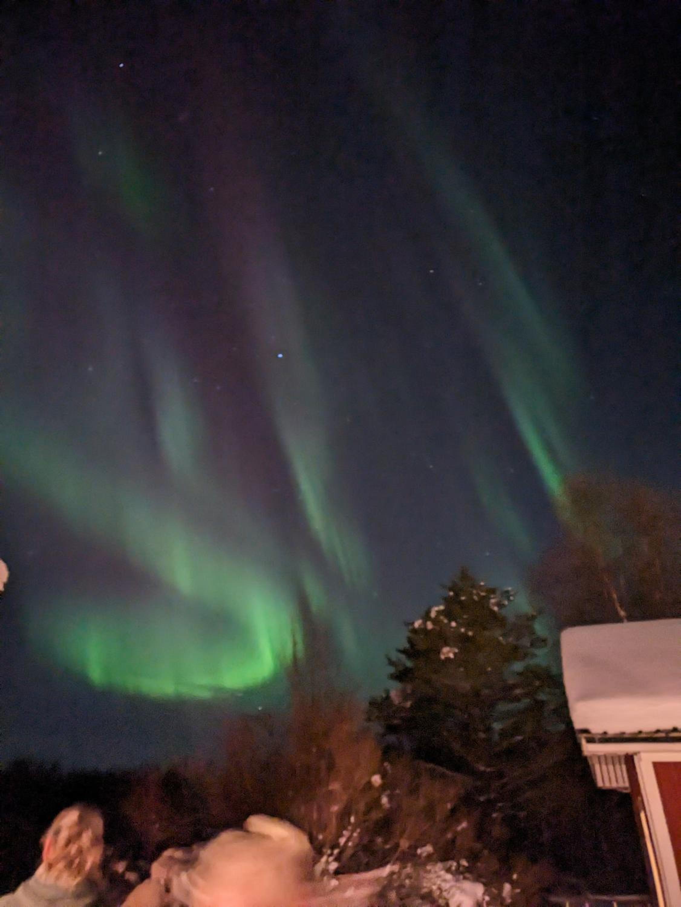 Wilderness Retreat in schwedish Lapland
