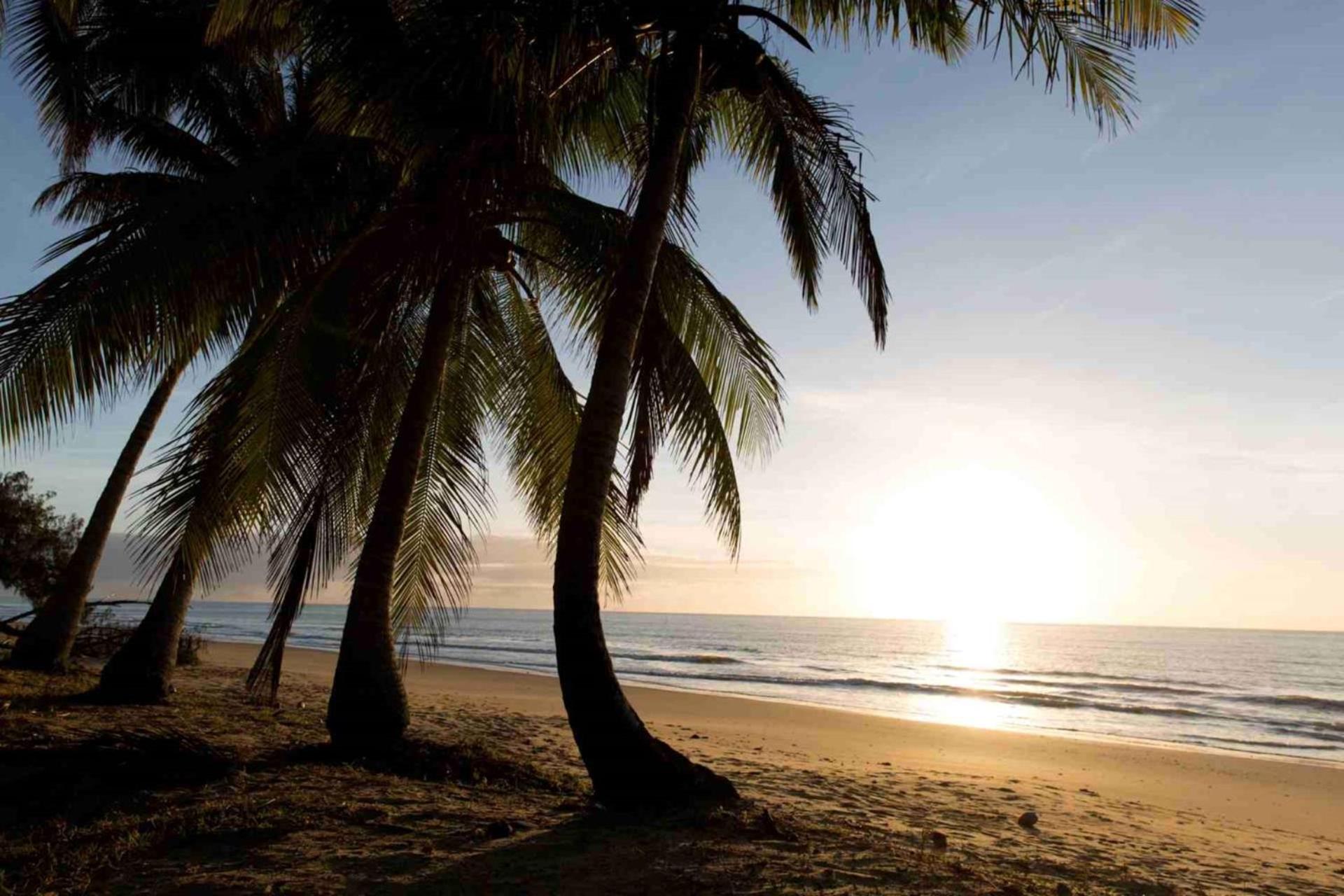 Spice At Oak Absolute Beachfront with Private Pool Near Port Douglas