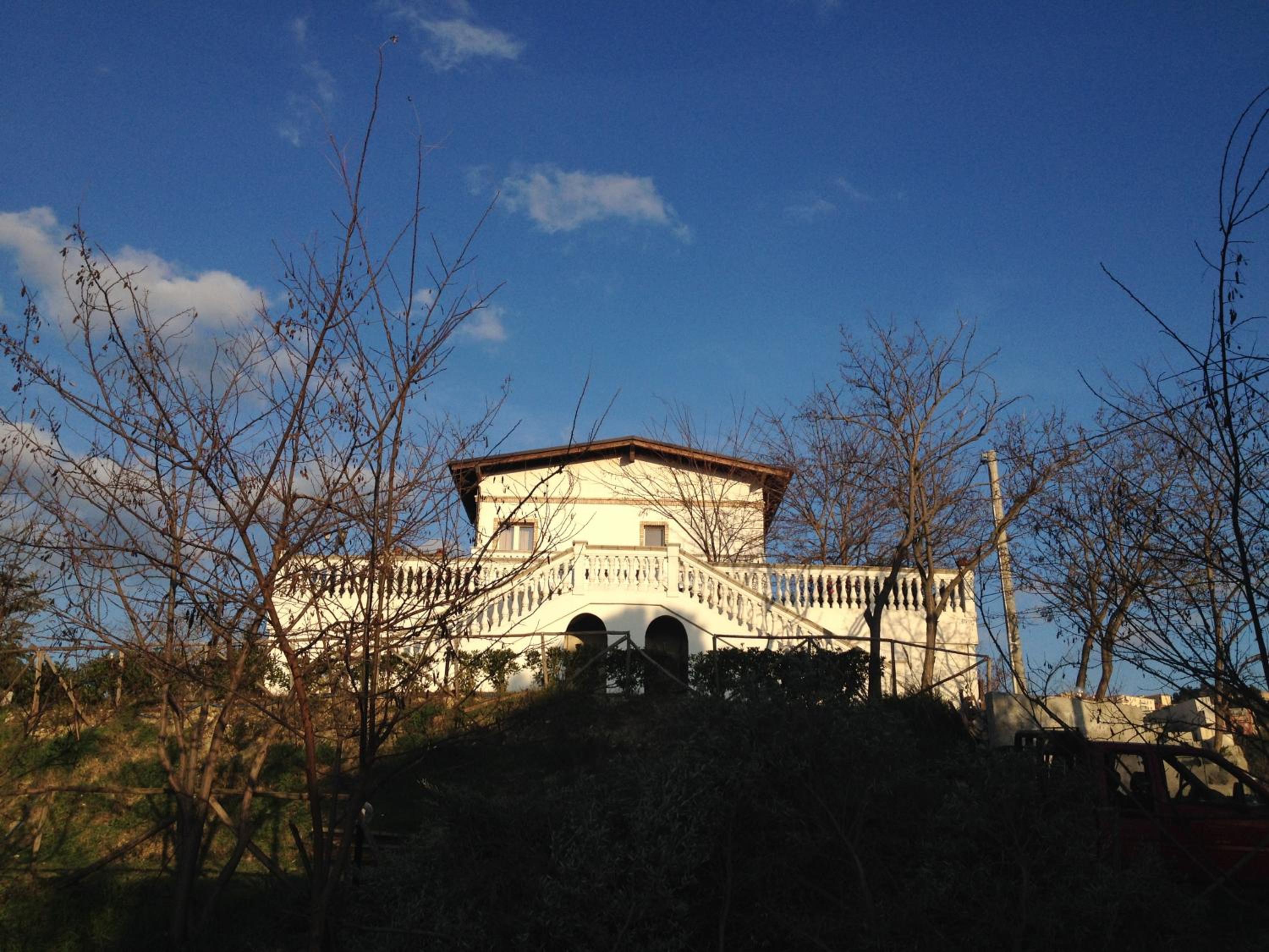 Photo 9