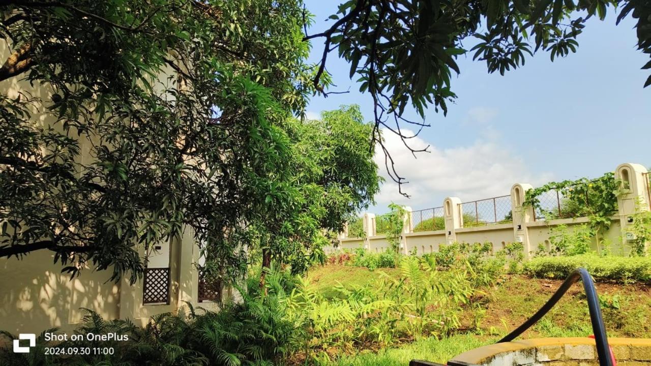 Le Casa Lion Resort A Premium Resort In Sasan Gir