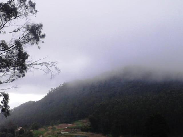 Photo 38